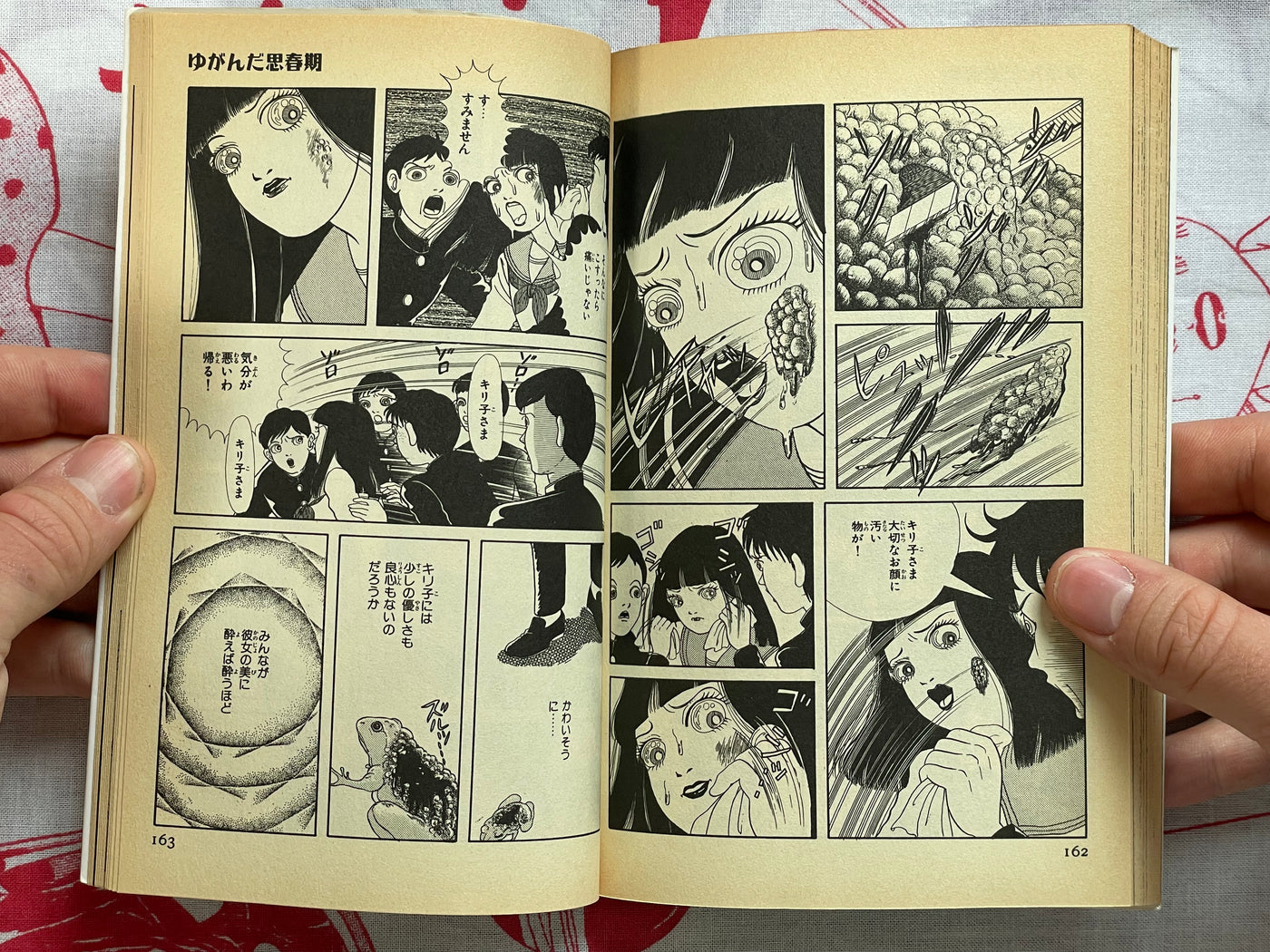 Slightly Scary Stories you can Find Anywhere by Kanako Inuki (1998)
