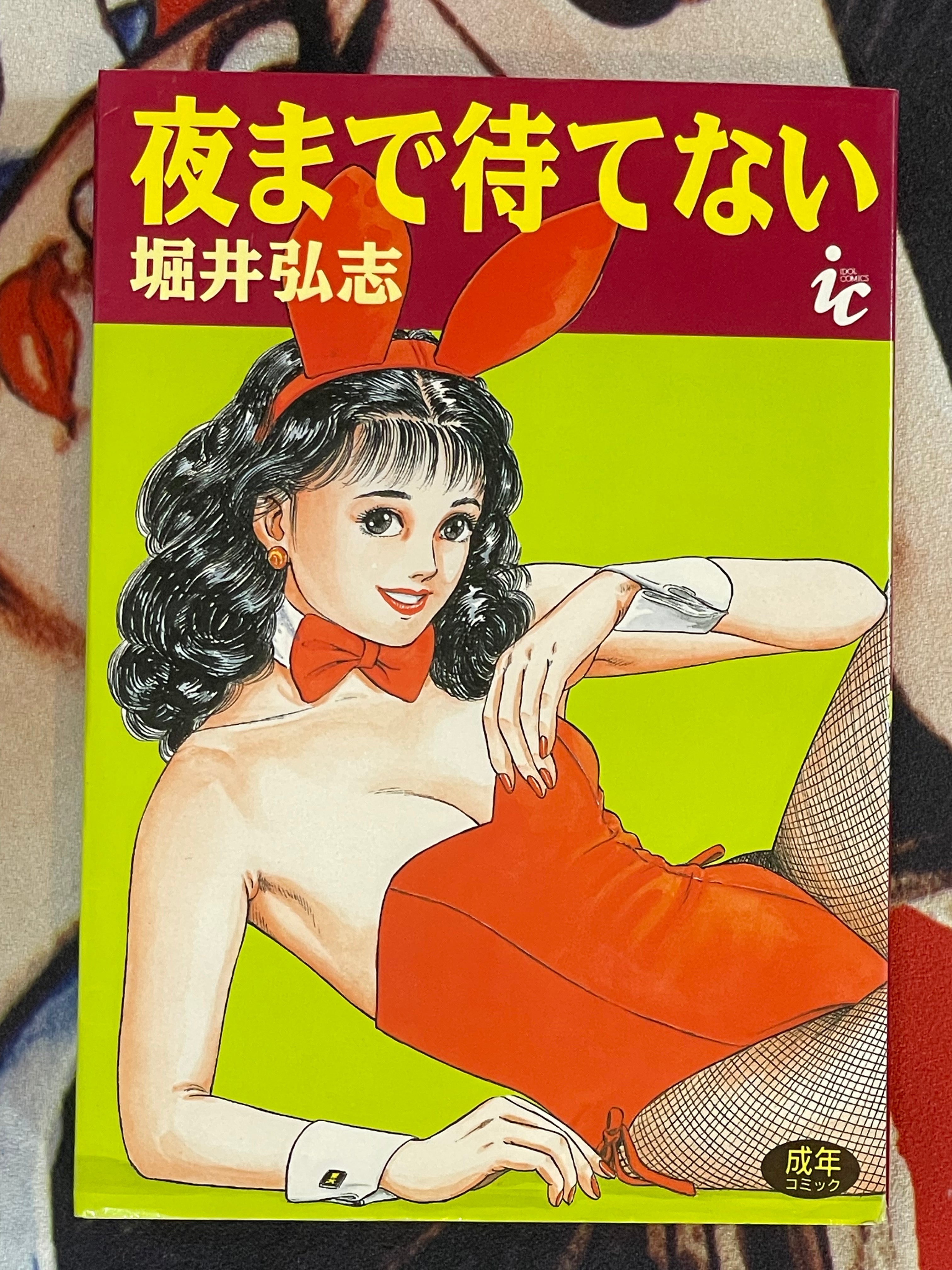 Can't Wait for the Night by Hiroshi Horii (1992)