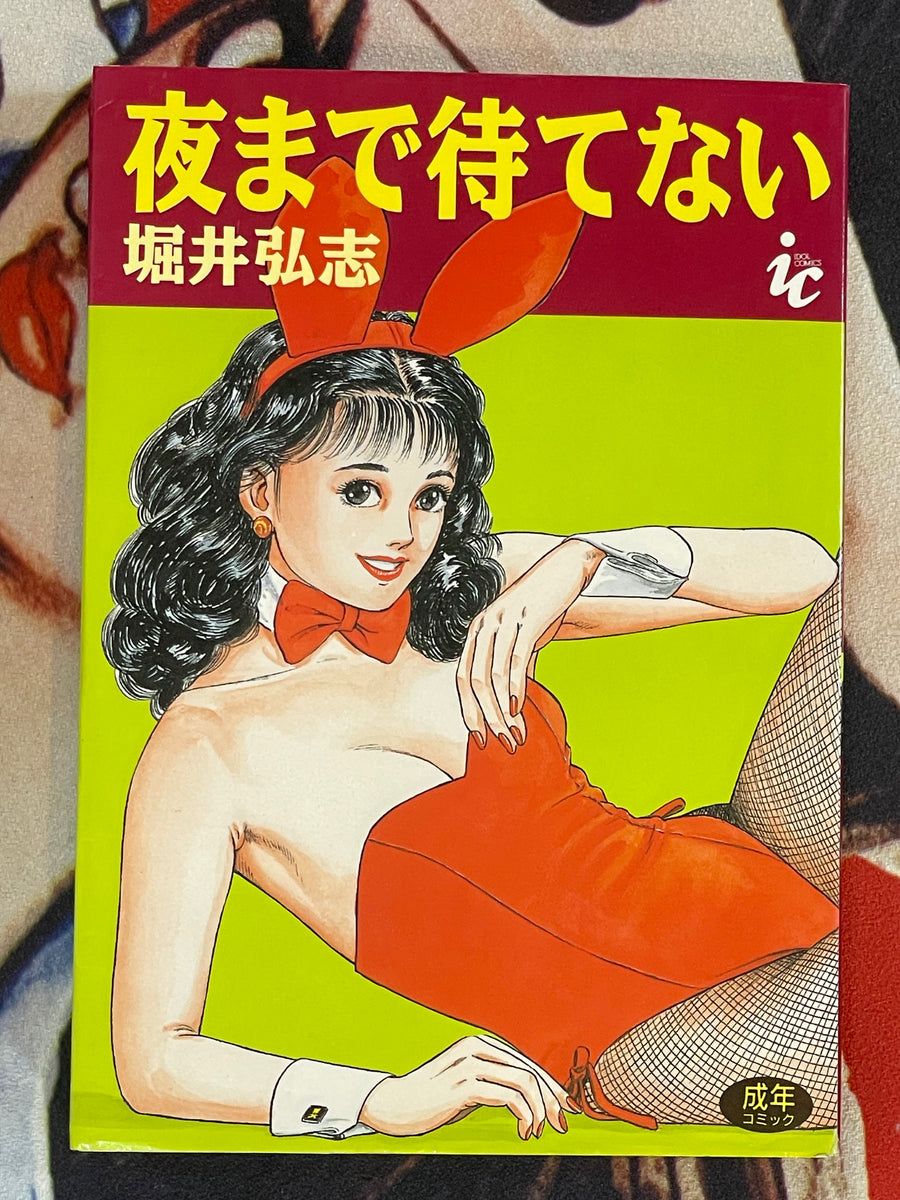 Can't Wait for the Night by Hiroshi Horii (1992)
