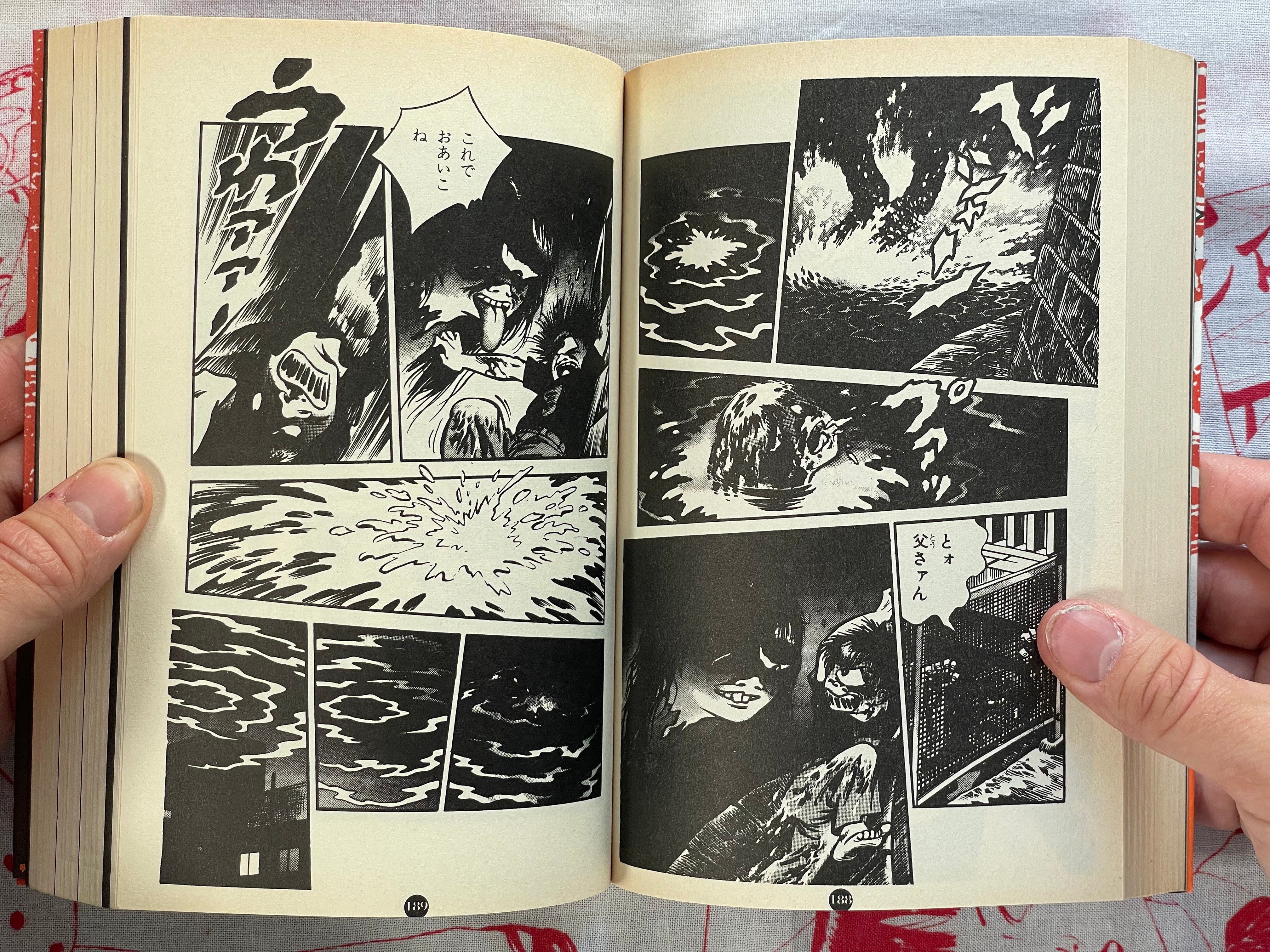 Cursed Manga Fan by Tsuruoka Hosai (1998)