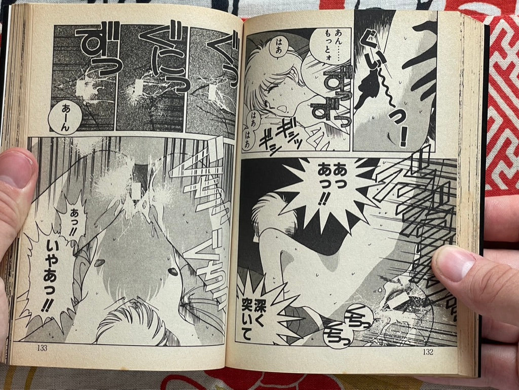 Girl Next Door Bunko Edition by Eri Mizushima (1988)
