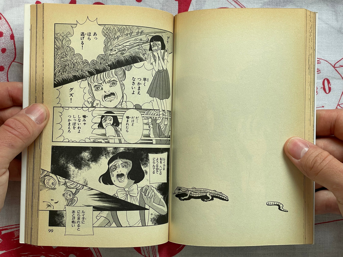Slightly Scary Stories you can Find Anywhere by Kanako Inuki (1998)