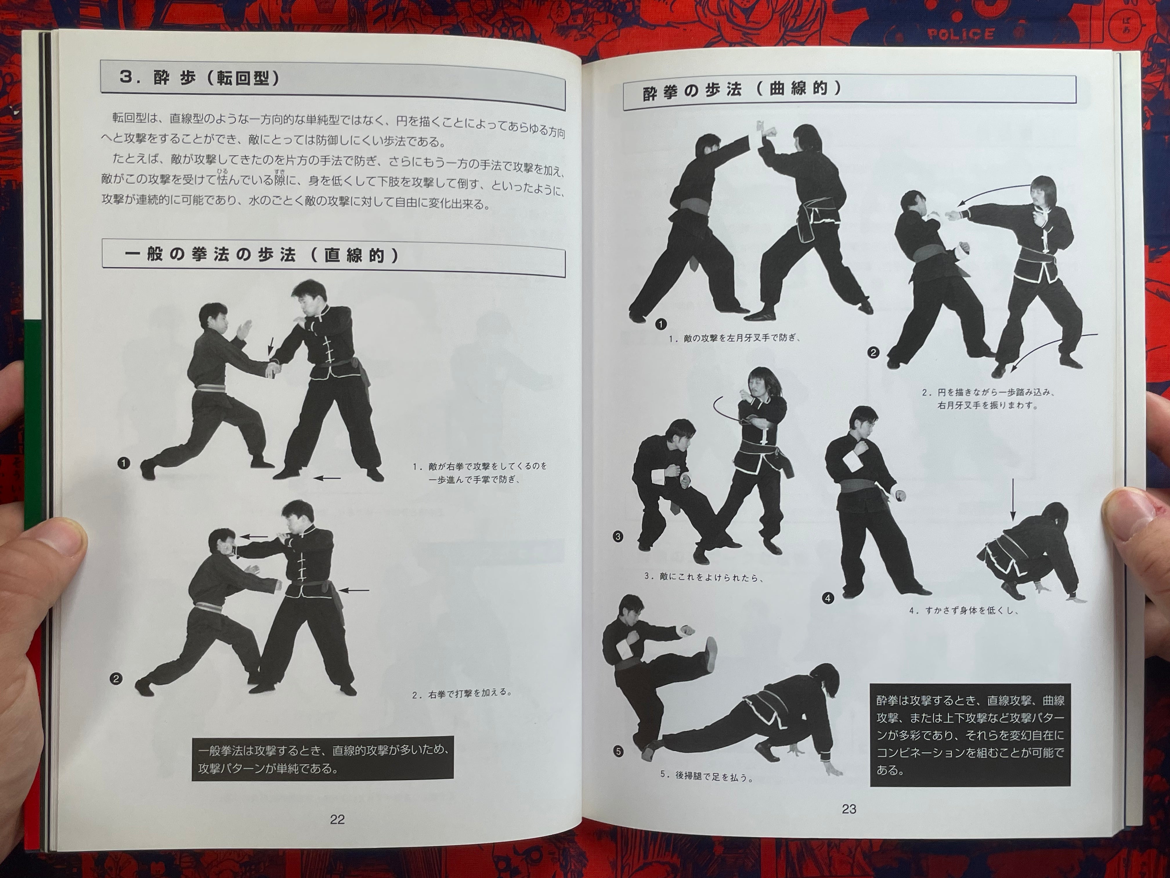 Drunken Fist Super Technique by Hiun Ryu (1999)