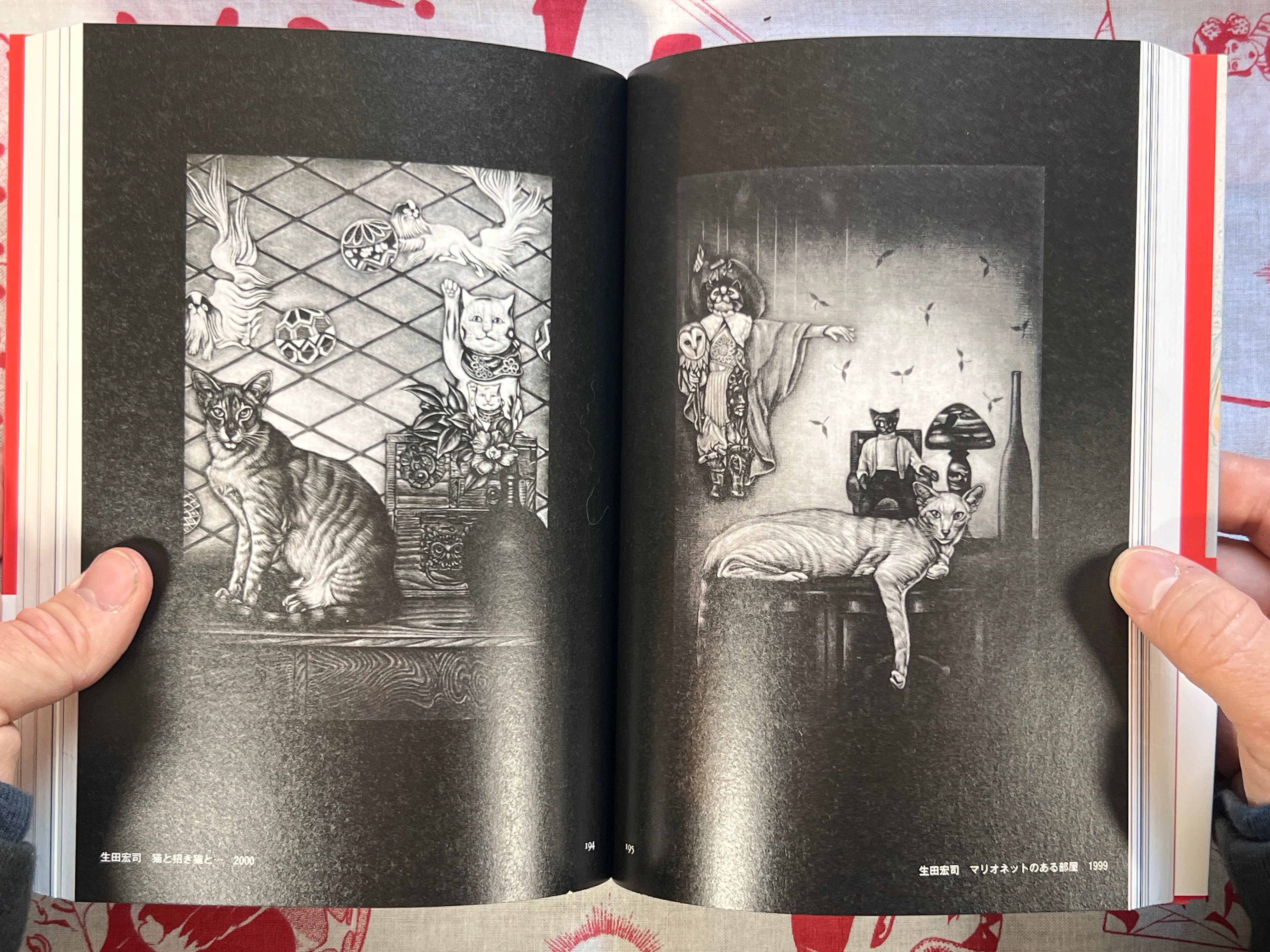 Cats Everywhere by Kyuryudo Publishing (2011)