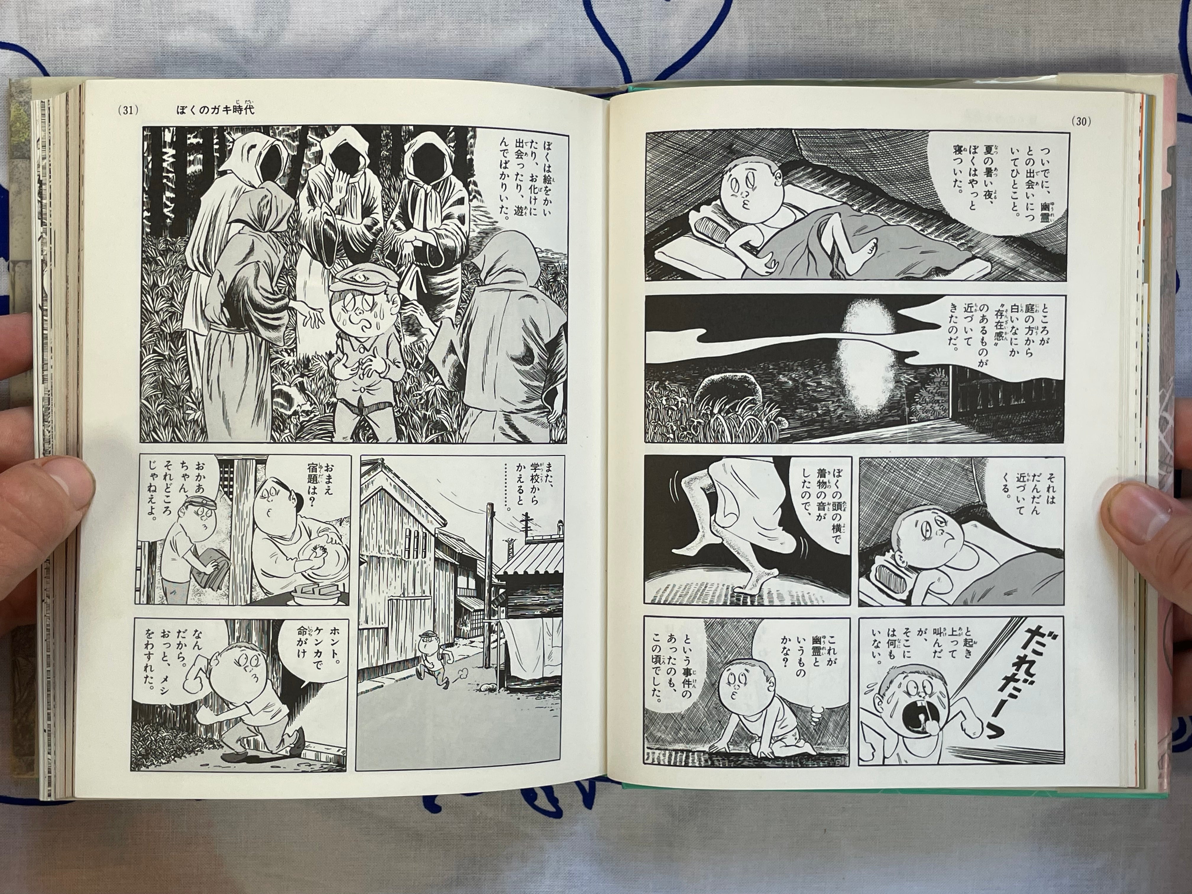 Introductory Yokai Professor - Hardcover by Mizuki Shigeru (1989)