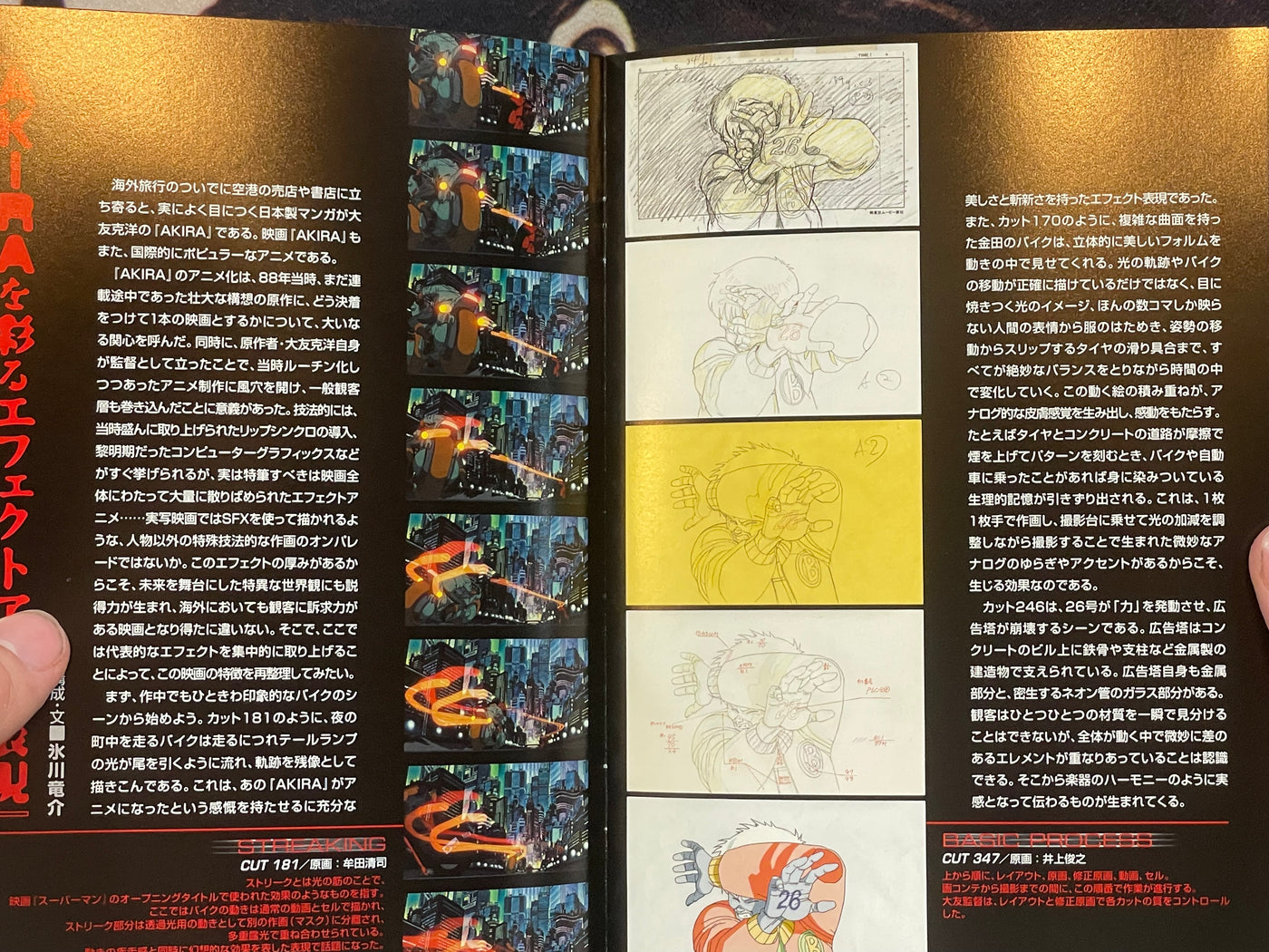 Akira DVD Special Edition by Katsuhiro Otomo (2001)