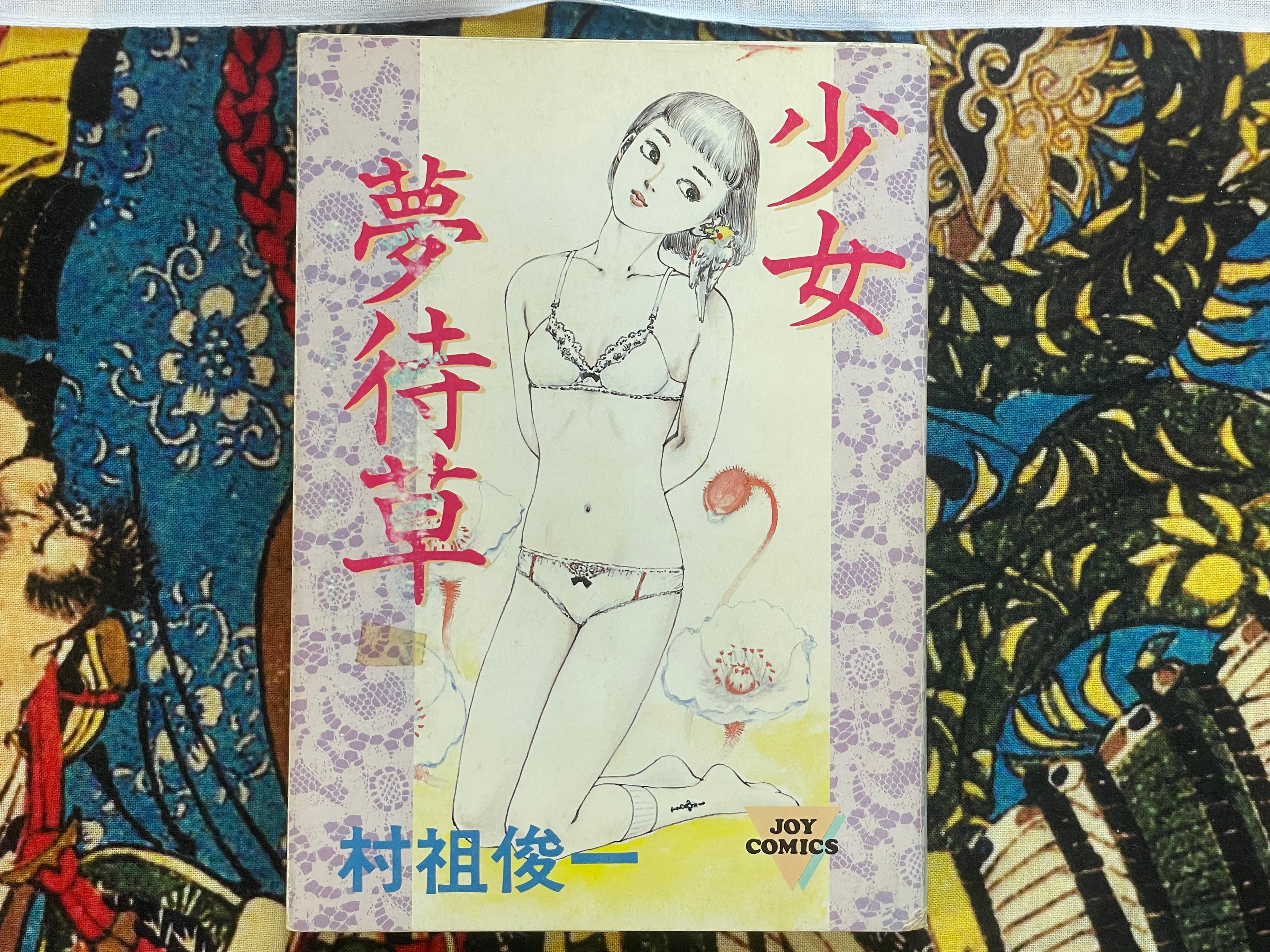 Young Girl Yumemachigusa by Shinichi Muraso (1984)