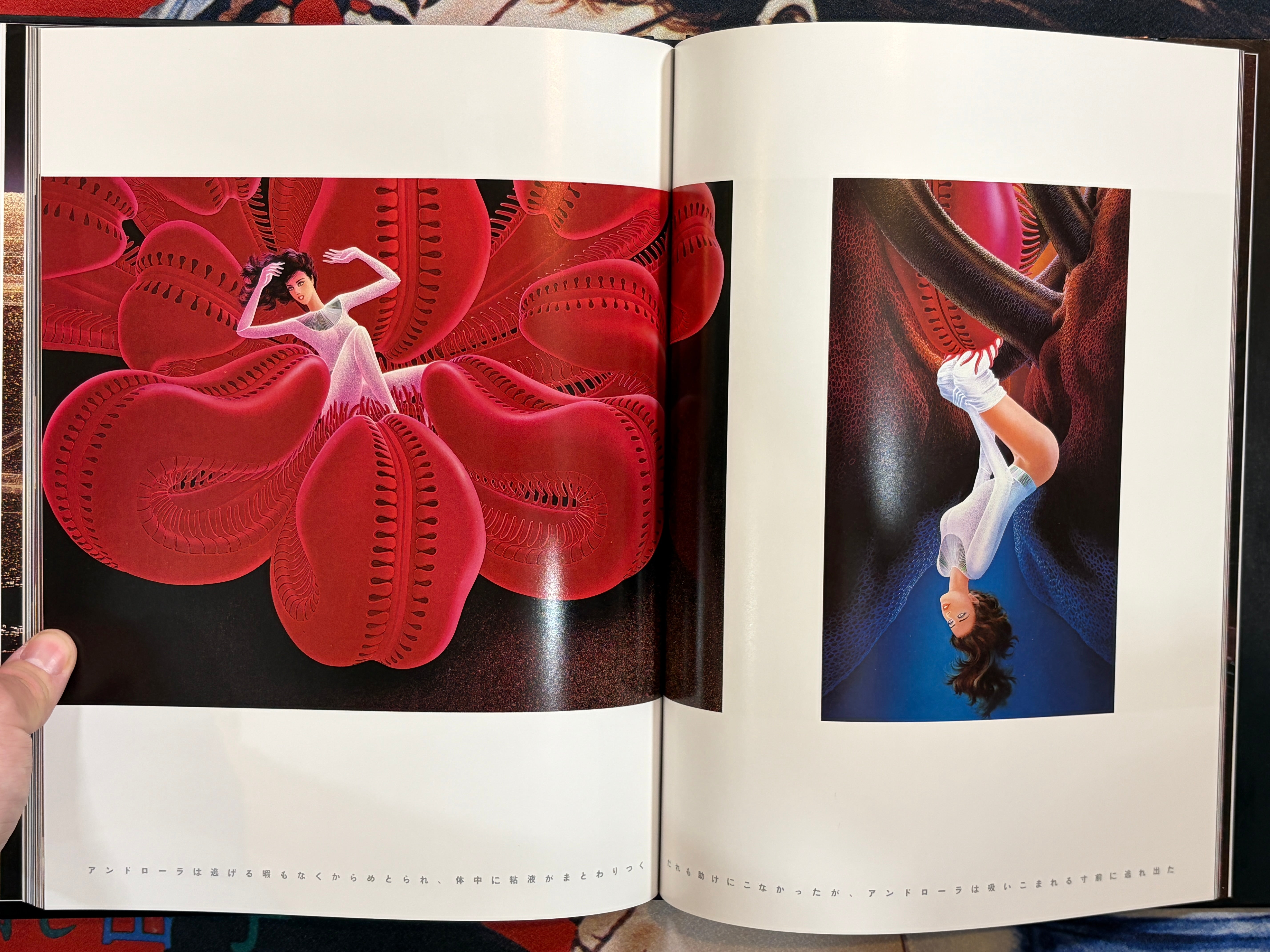 Androla in Labyrinth by Shusei Nagaoka (1984)