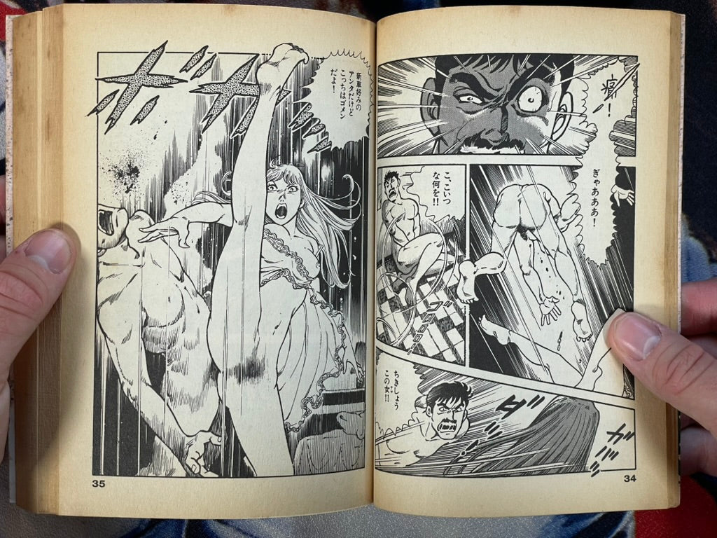 Zebra #2 by Shinohara Tooru (1990)