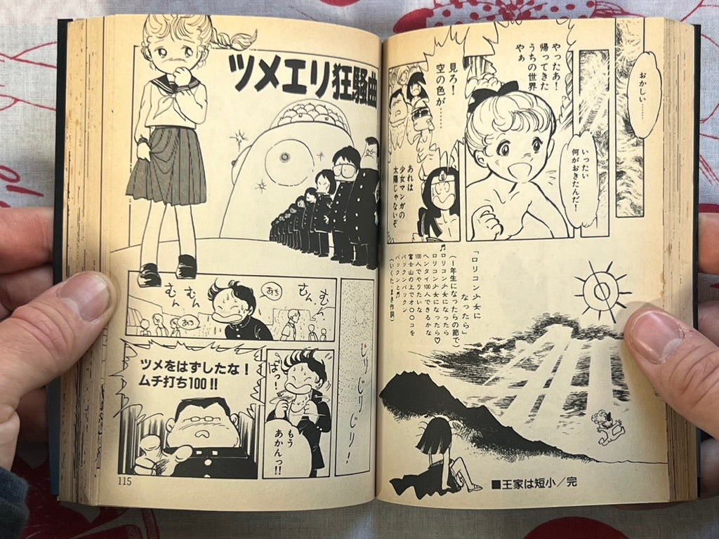 Not There Yet! - bunko size by Nakata Aki (1988)