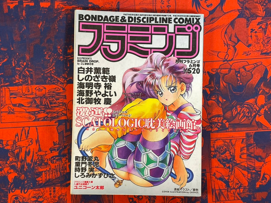 Flamingo Magazine (6/1995)