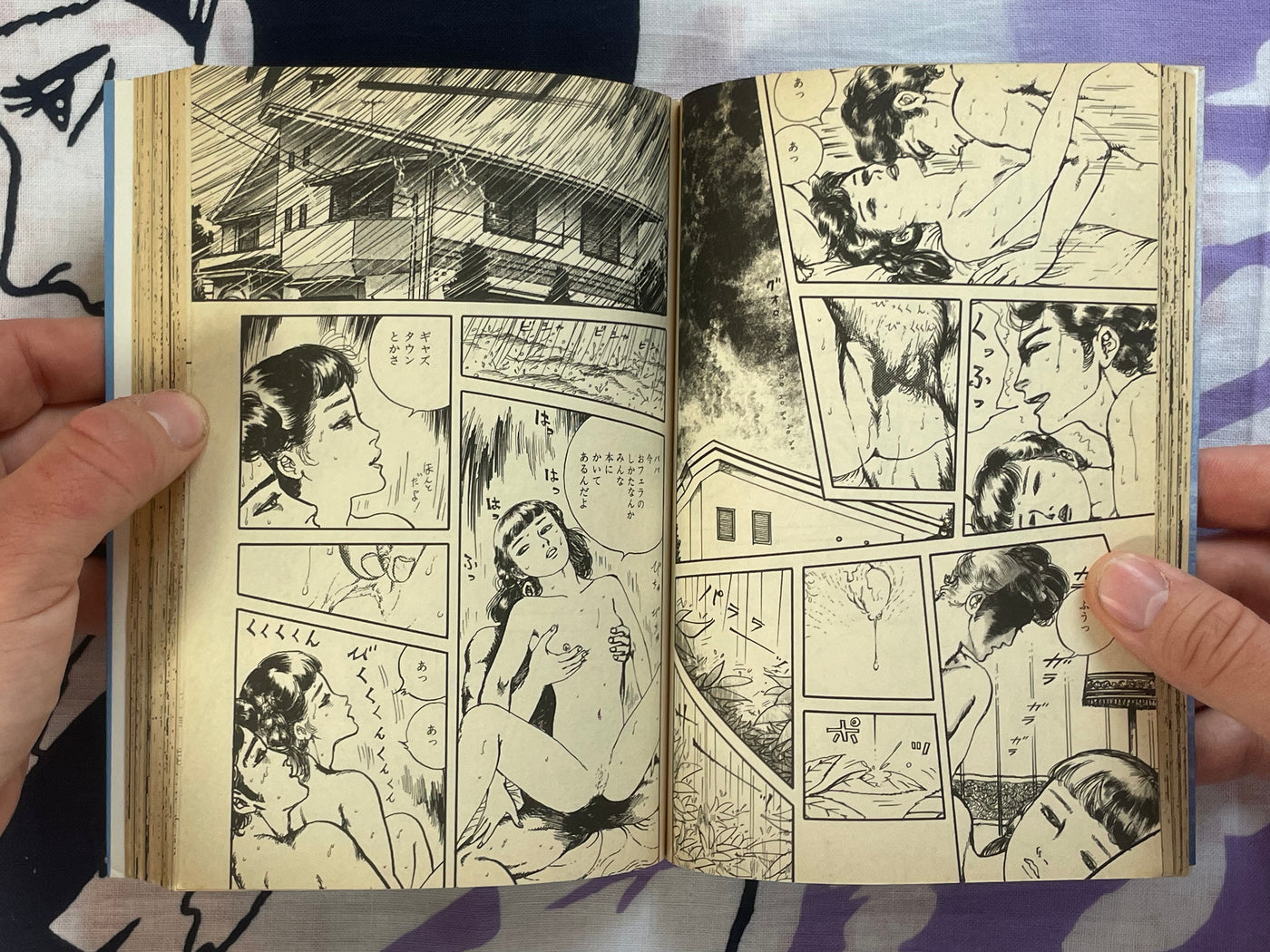Girl Turned to the Darkness 1-2 Set by Shunichi Muraso (1986)