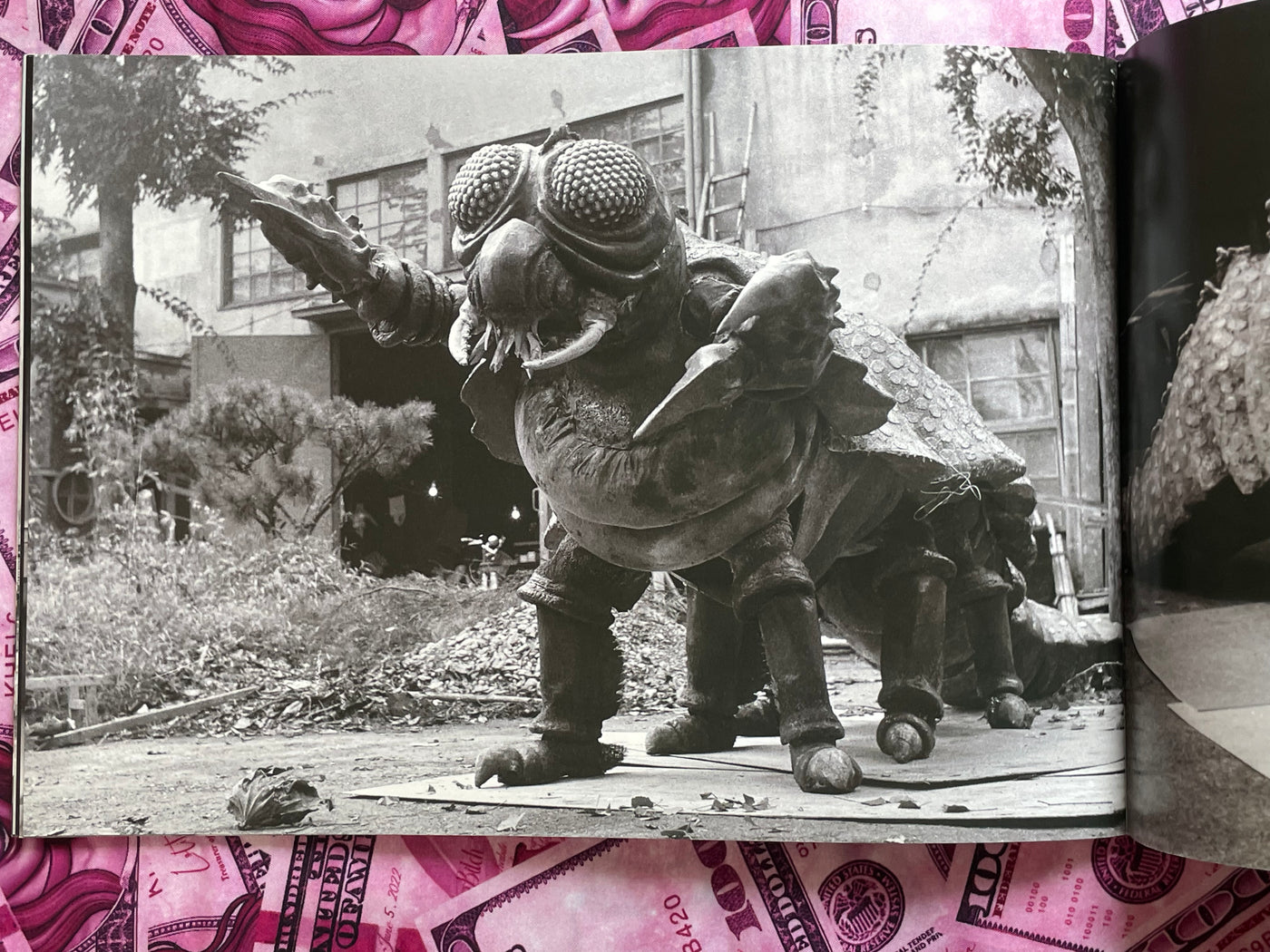 Toho SFX Movies Authentic Visual Book Vol. 9: Rodan 1956 (2018)