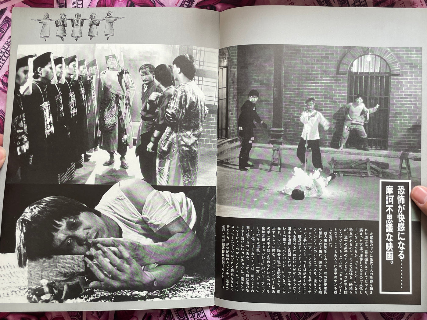 Reigen Dohshi / Mr. Vampire Movie Pamphlet (1985?)