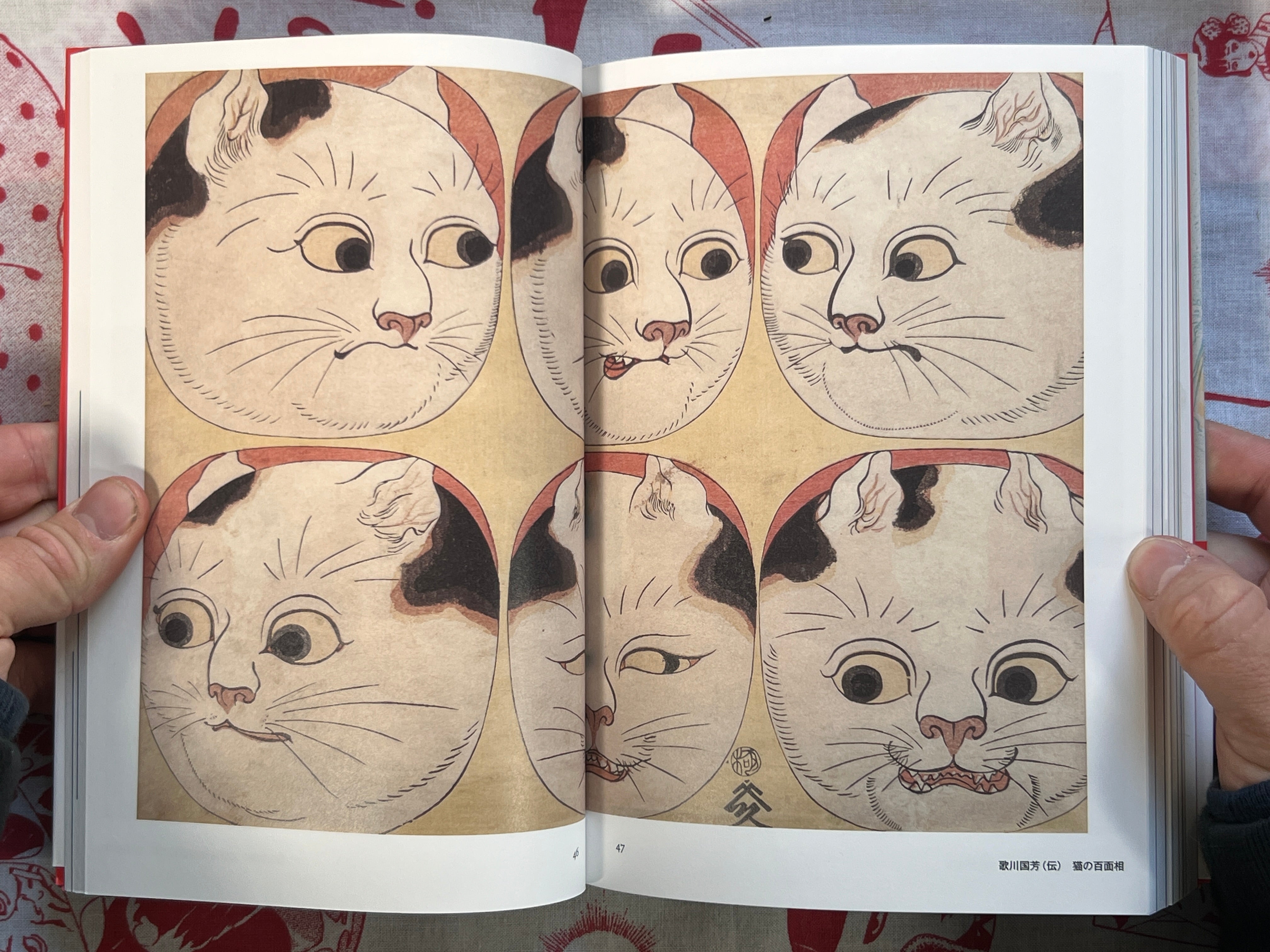 Cats Everywhere by Kyuryudo Publishing (2011)