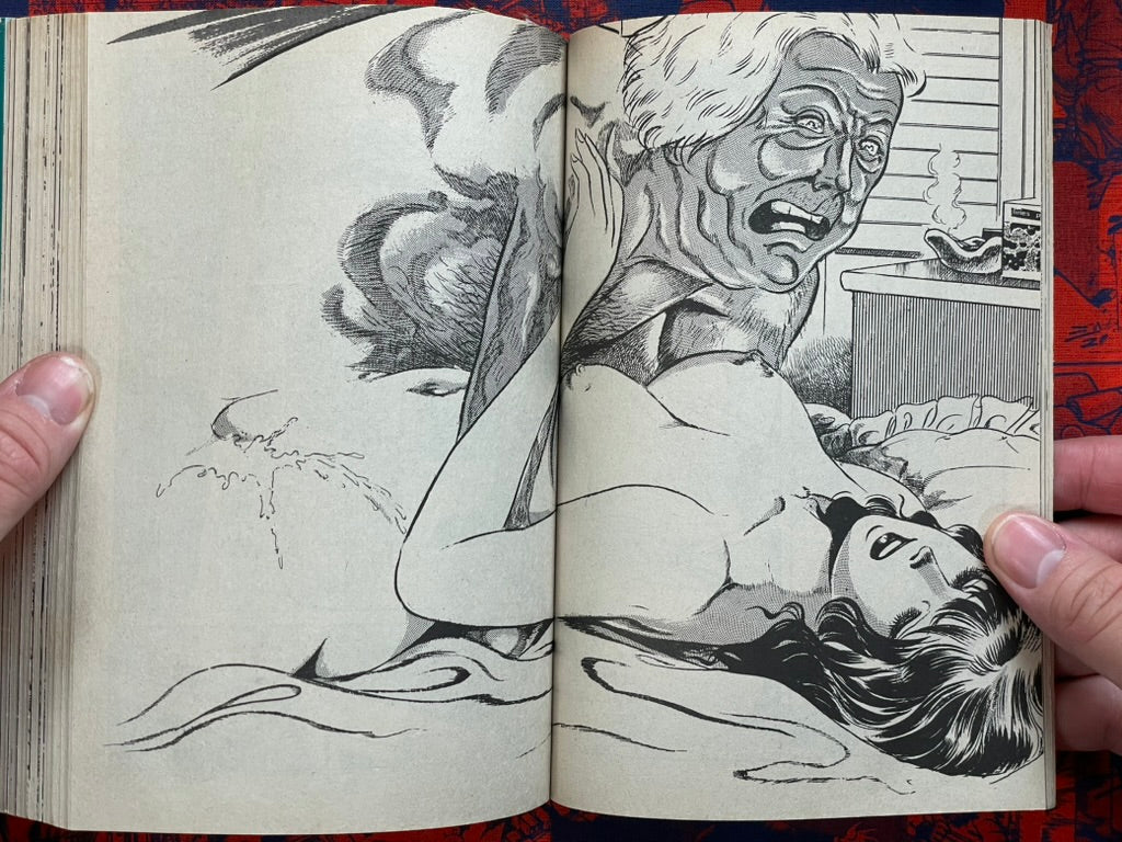Sexy Doll by Hatano Emi (1983)-thumbmail-4