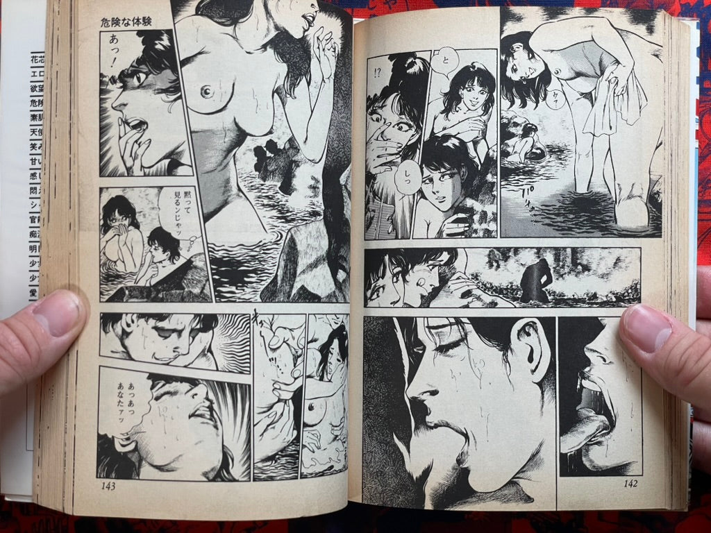 Dangerous Experience by Ohshima Takeshi (1982)