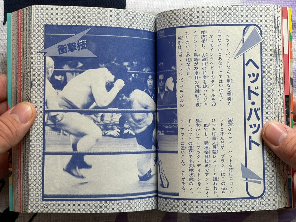 Pro Wrestling Finishing Move Encyclopedia - Bunko Edition (1984)