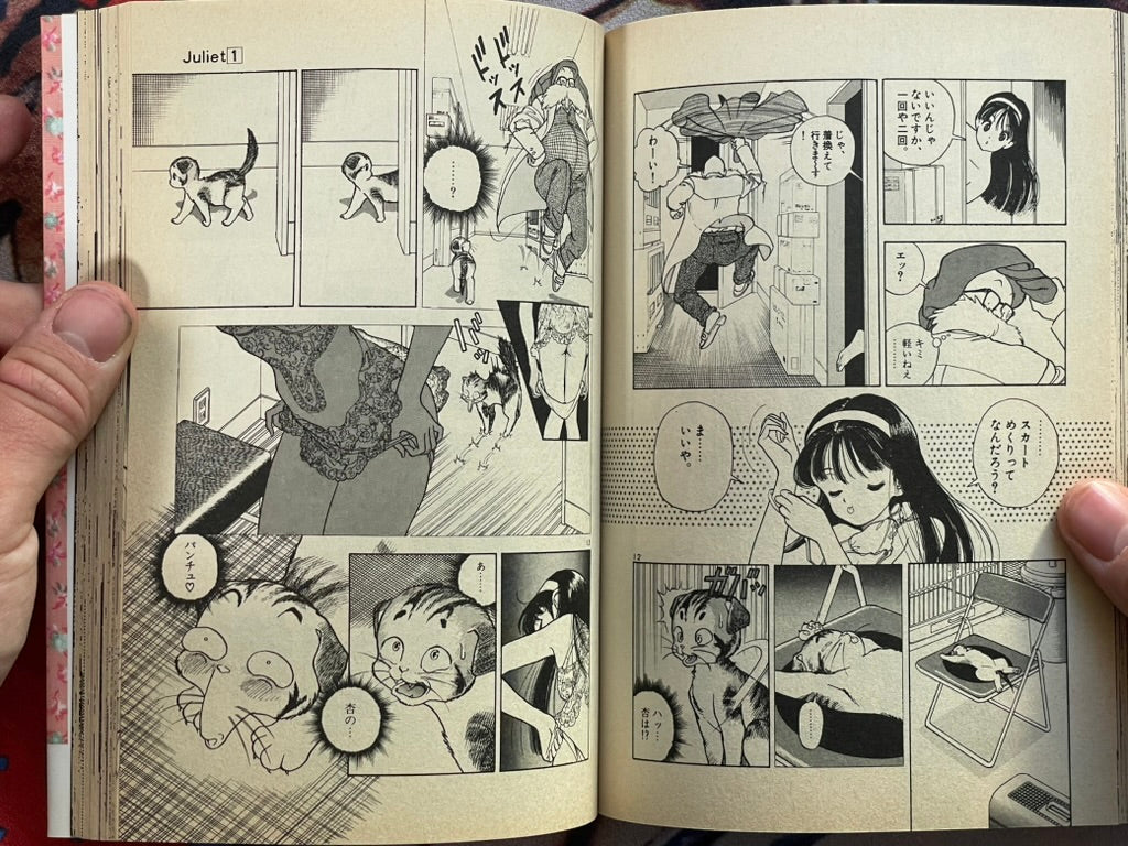 Juliet: Dream Comes True Story by U-jin (1992)