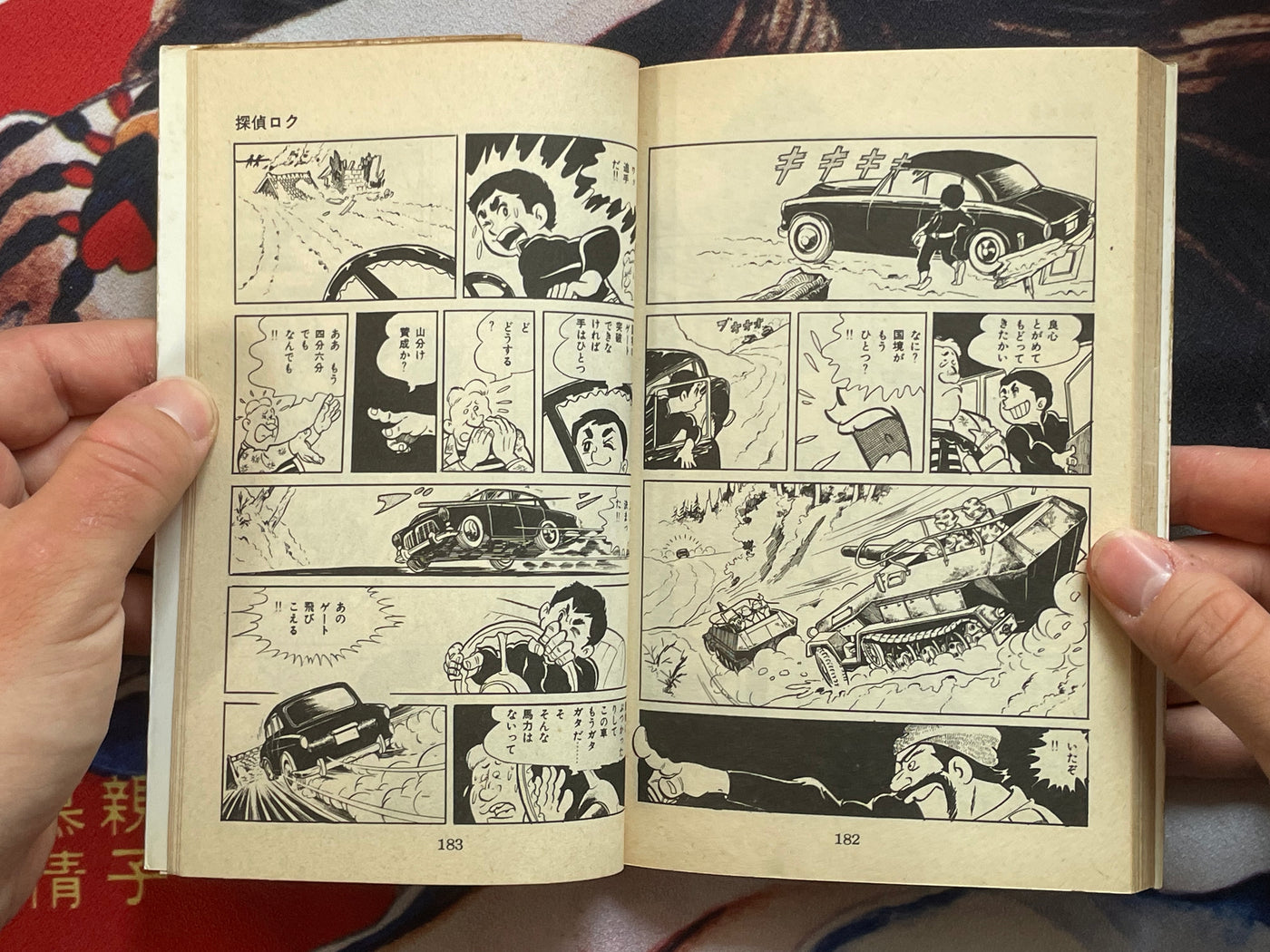 Mekong Hawk by Mochizuki Mikiya (1983)