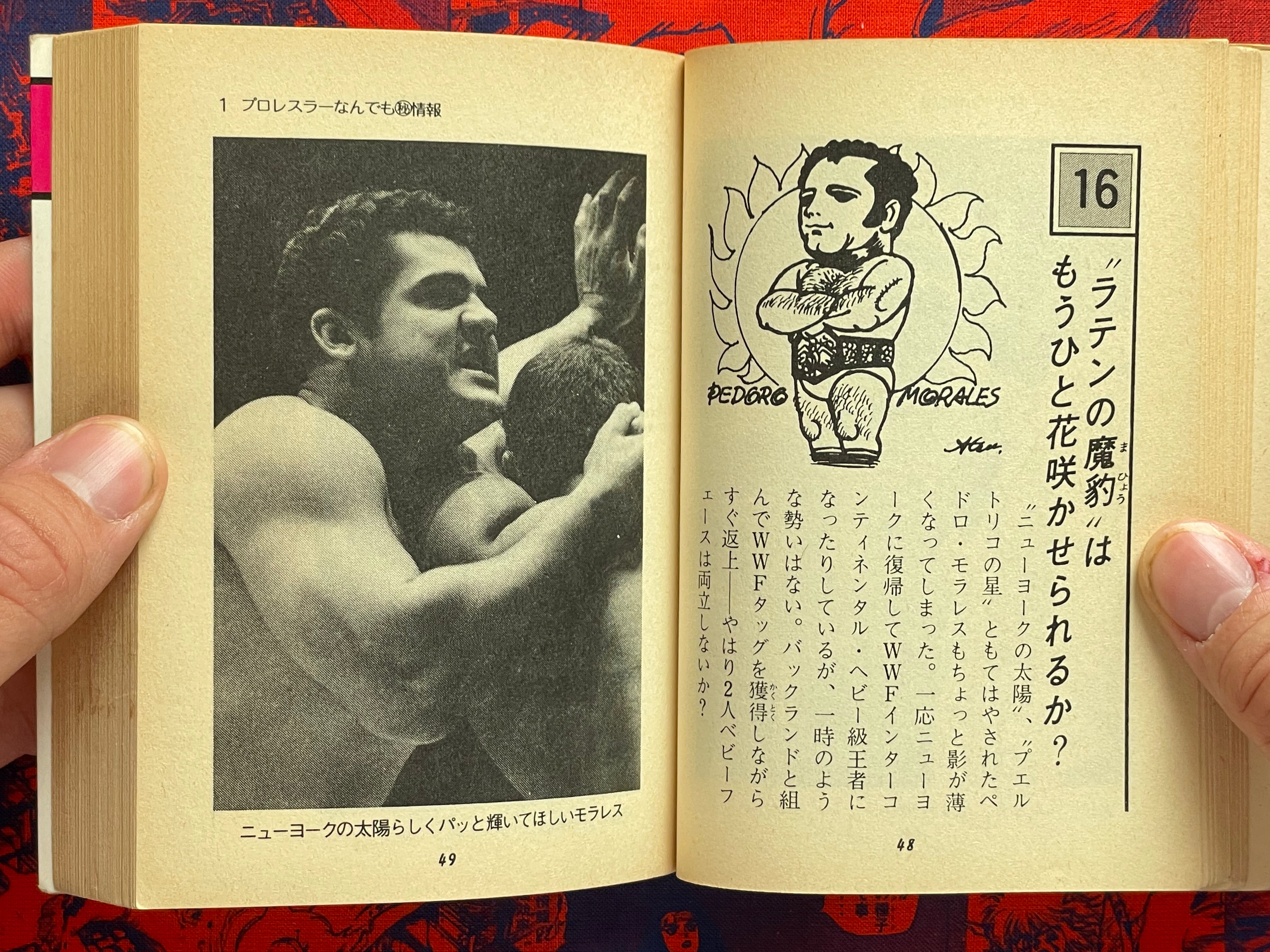 Pro Wrestling Everything Professor - bunko sized by Morioka Riu (1982)