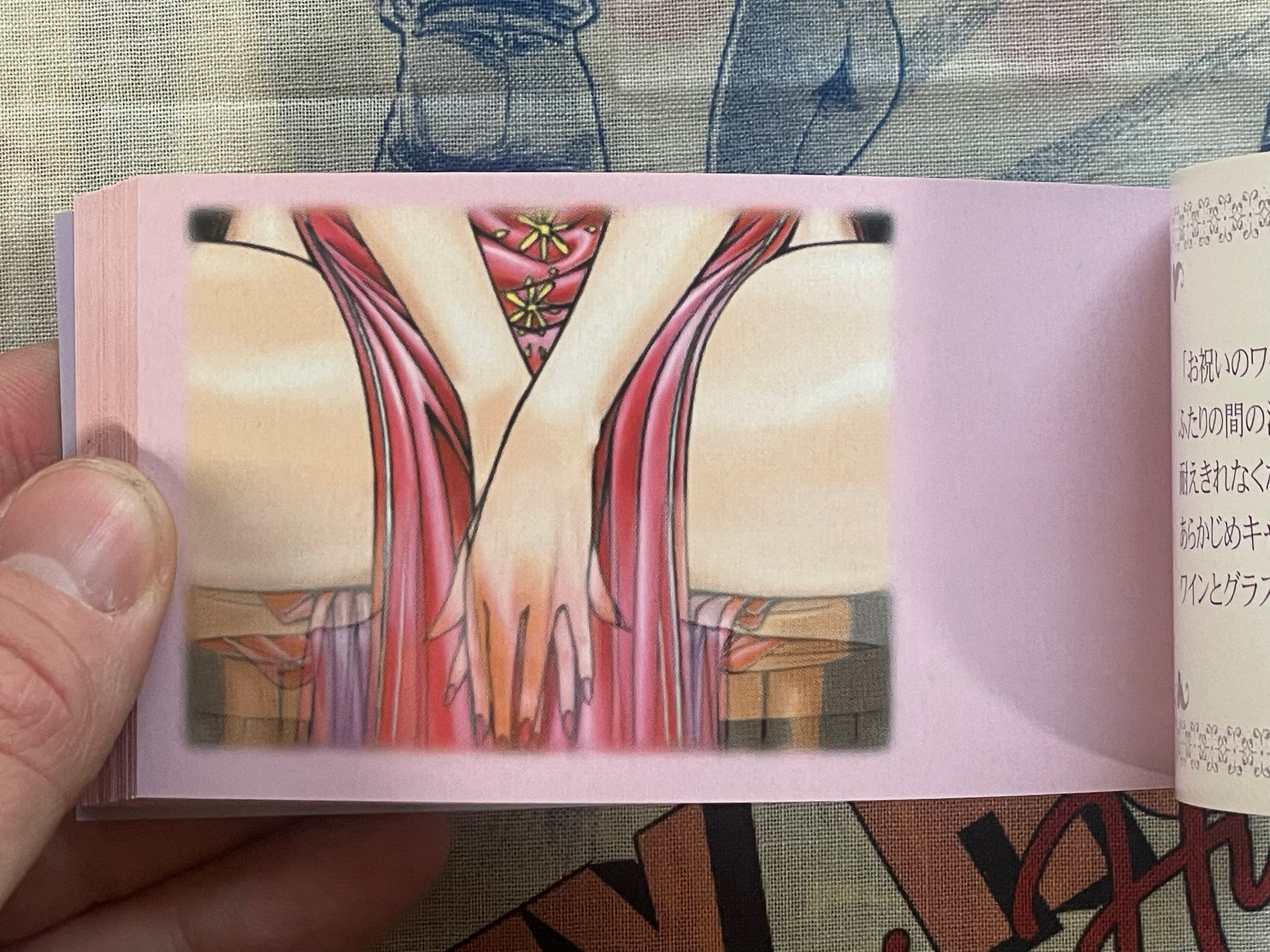 G-Taste Flip Book Yuki Sihoudou 28 Years-Old by Hiroki Yagami