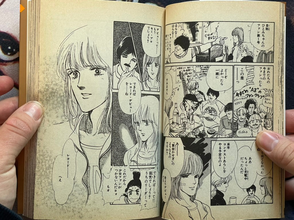 Diamond Paradise by Satoru Makimura (1989 Edition)