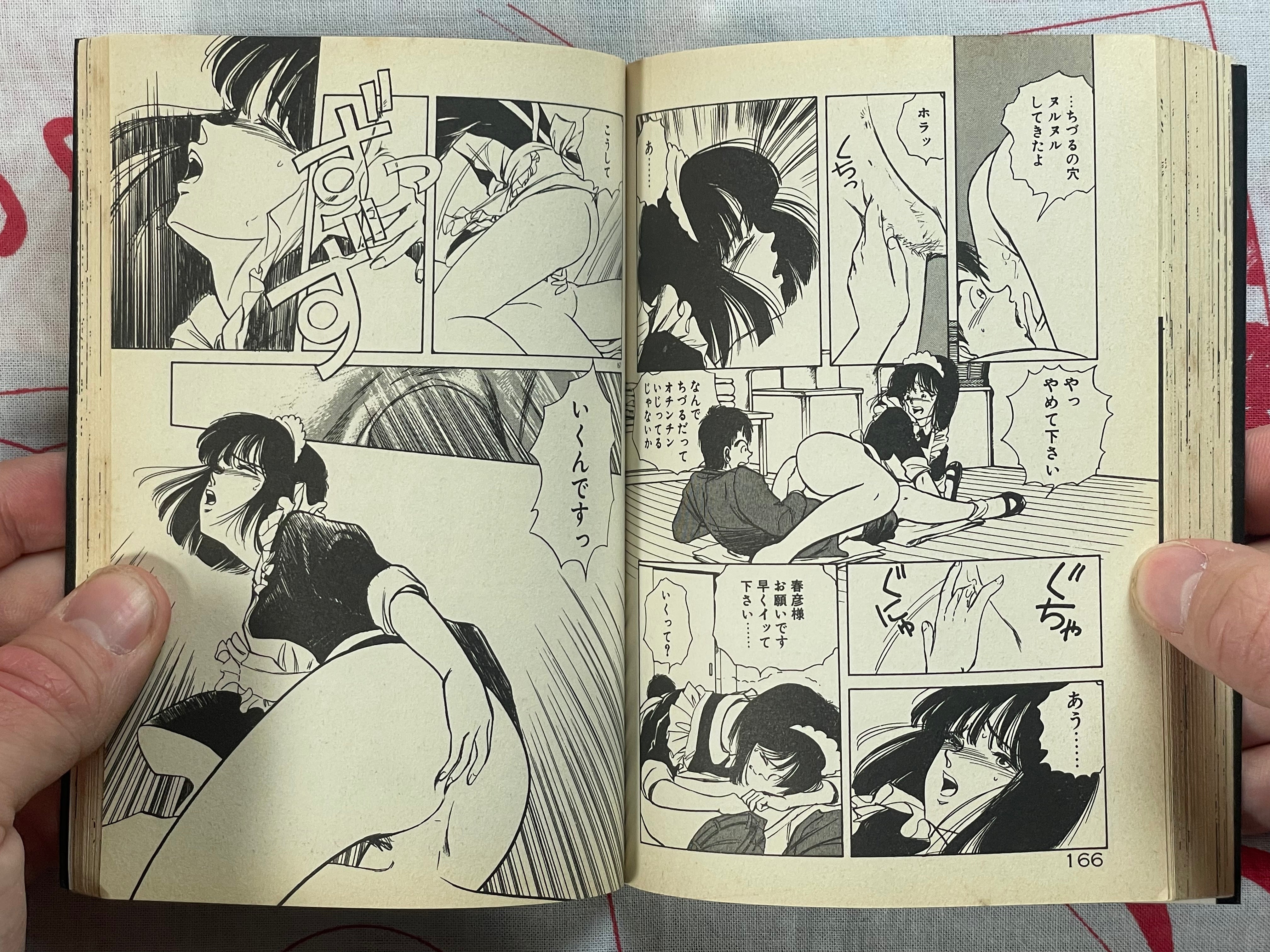 Heart Pounding Lesson - bunko size by Sakabe Noriko (1994)