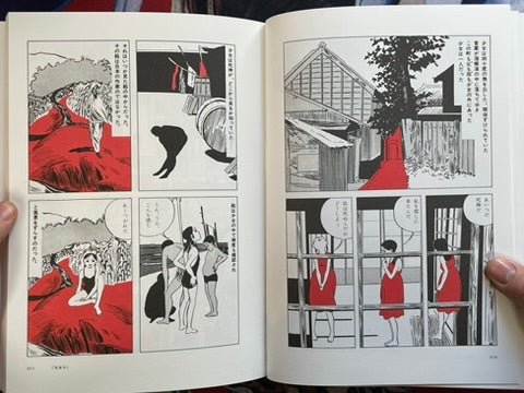 Hayashi Seiichi Manga Techniques by Aran Toochika, Kawakatsu Tokushige (2025)