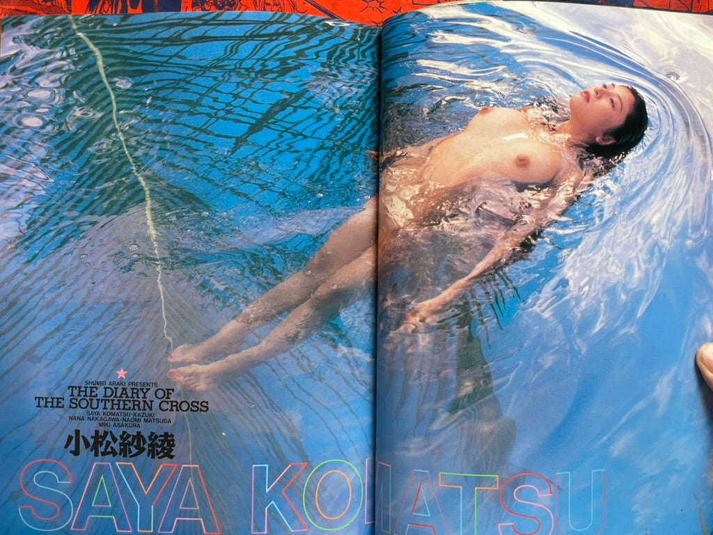 The Diary of the Southern Cross by Araki Shumei (1994)