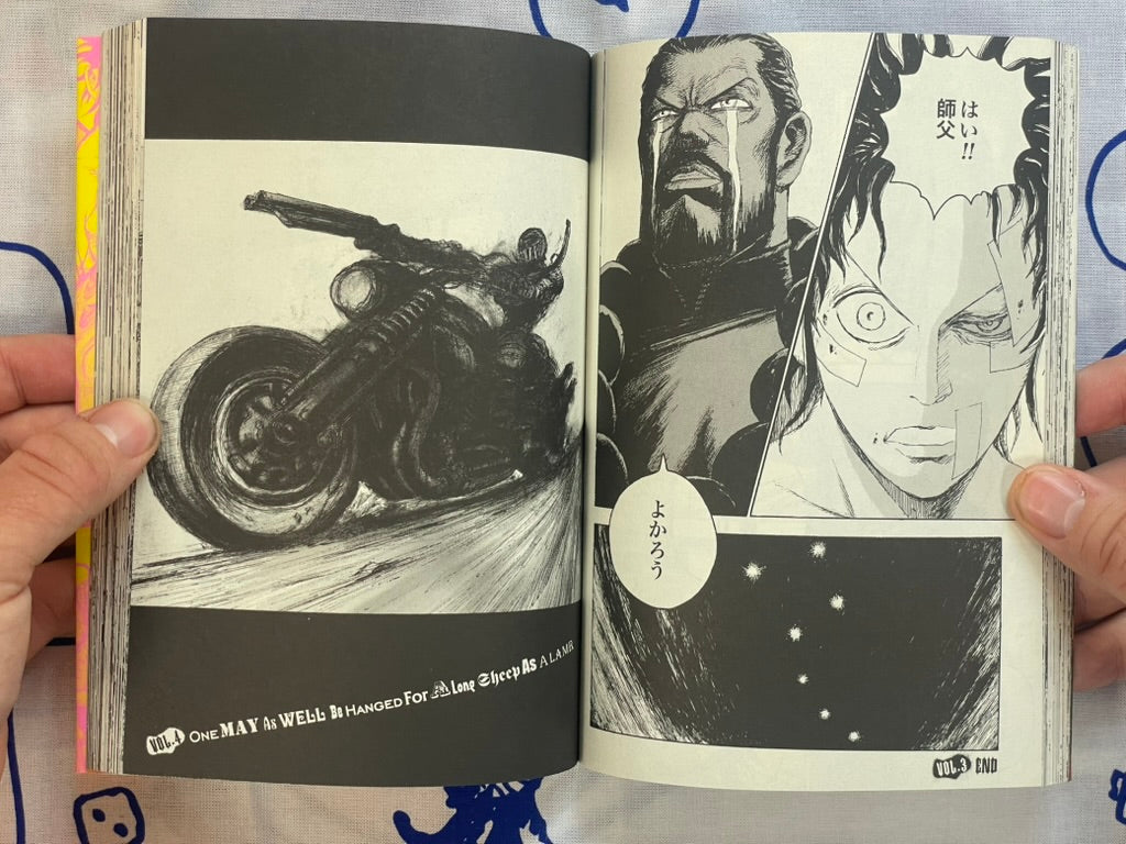 Evil Flowers: Fist of the North Star Jagi Side Story 1-2 Full Set by Shinichi Hiromoto (2009)-thumbmail-8