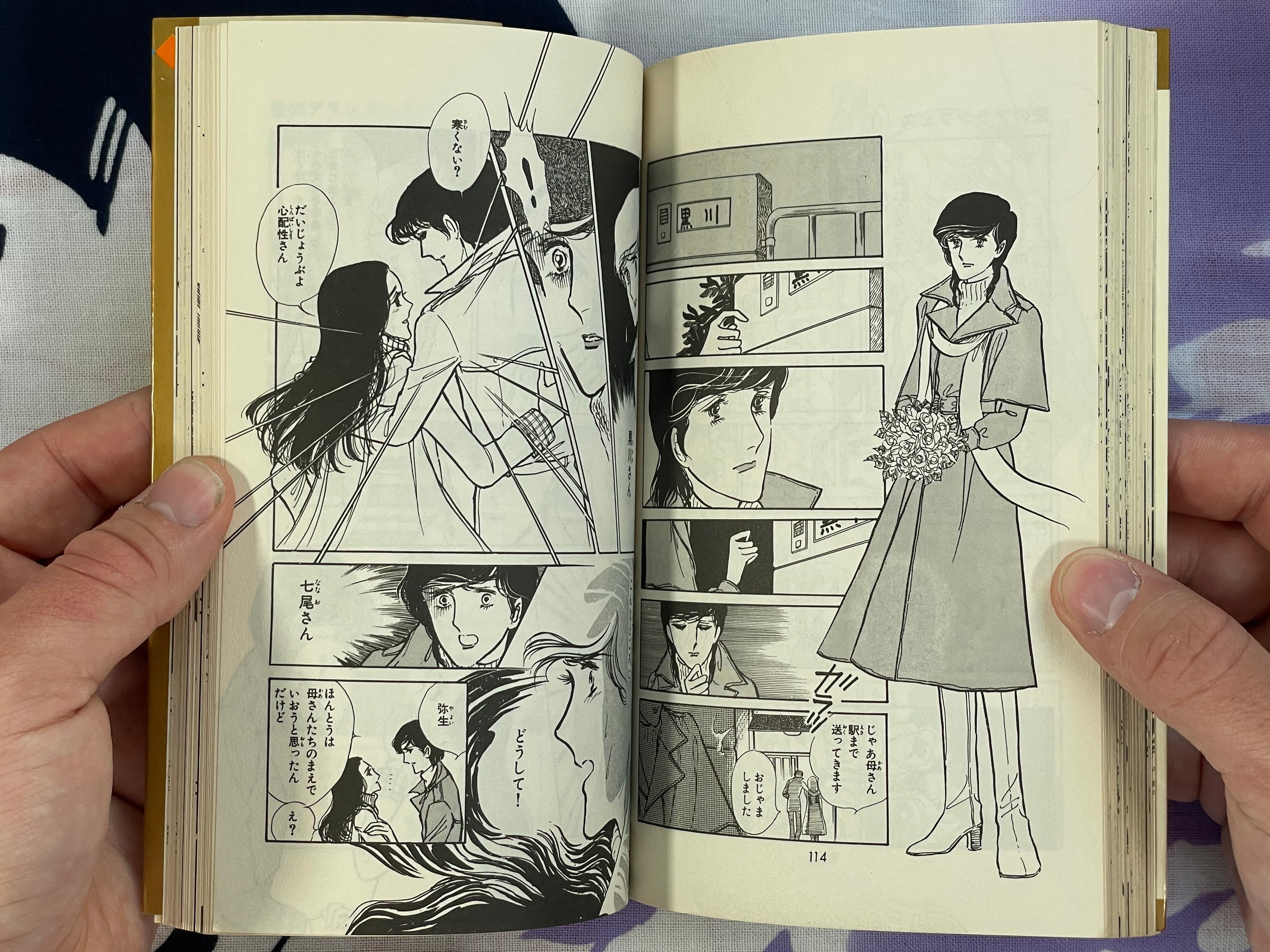 Love of Aranjuez by Satoru Makimura (1979)