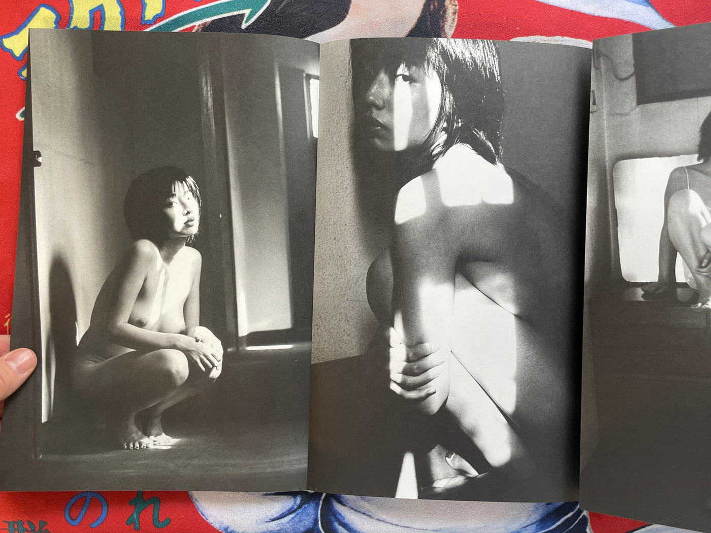 Monthly Ayano: Ohami Ayano Mook Photo Collection (2010)