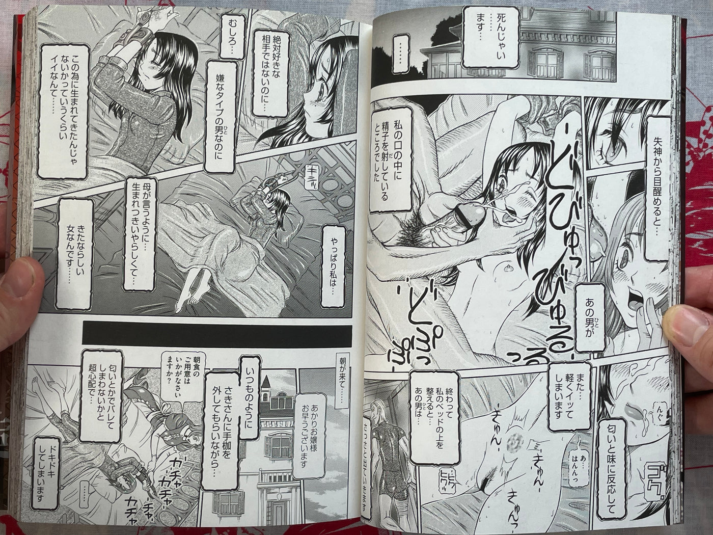 Injo Reido by Sagano Helmer (2013)