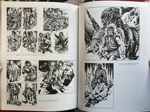 Shuui-shuu by Noriyoshi Ohrai (2016)