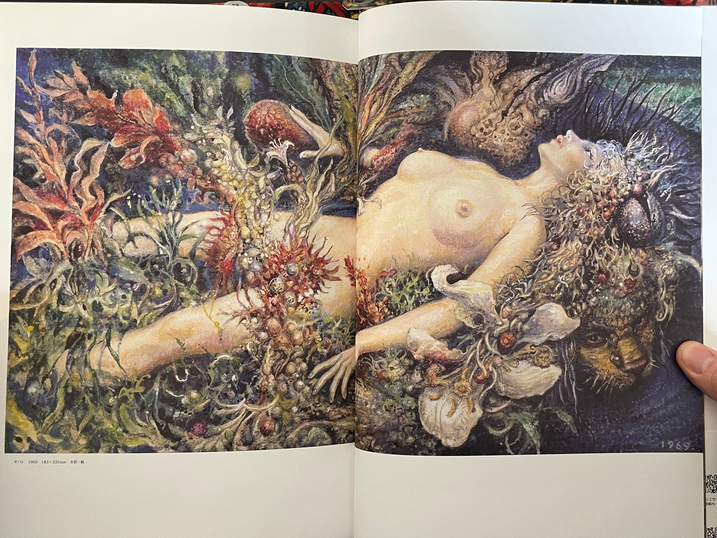 Ran Akiyoshi Illusory Works: Faraway Primordial Illusions - Hardcover (2025)