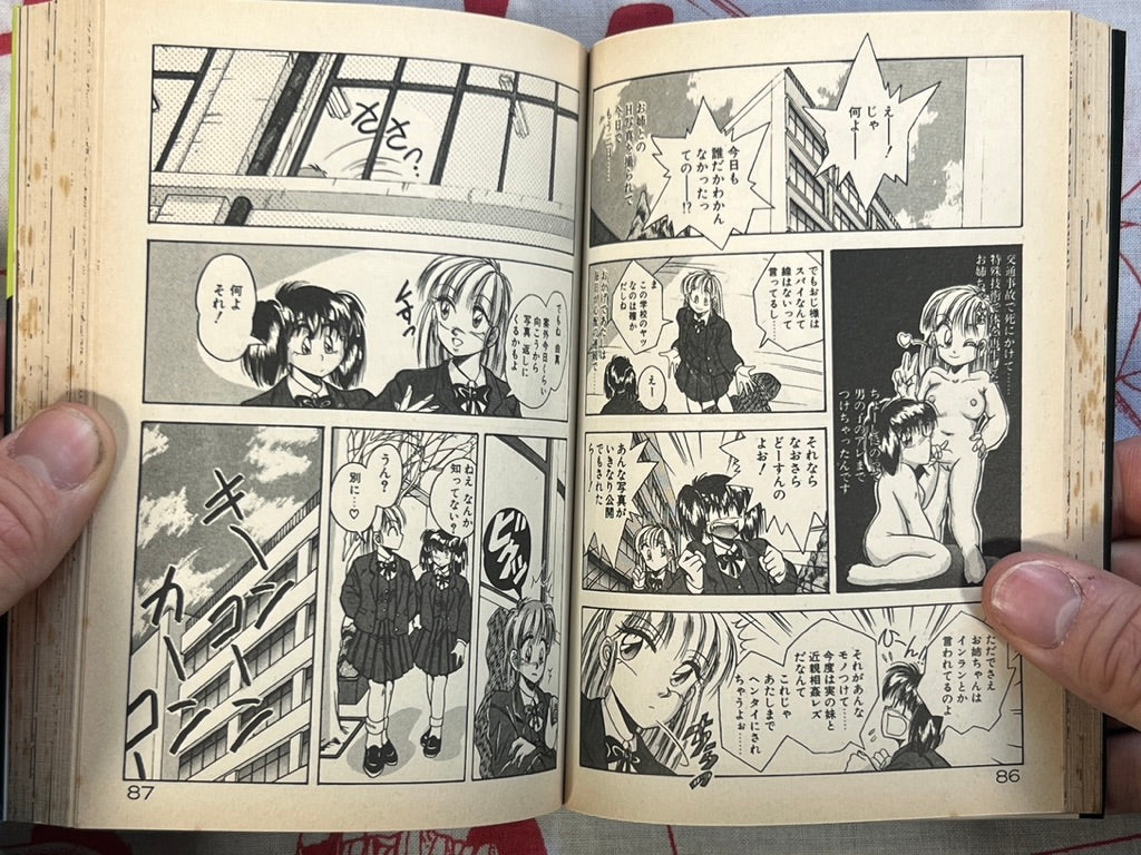 I Like You After All! - bunko size by Kawahara Shin (1995)