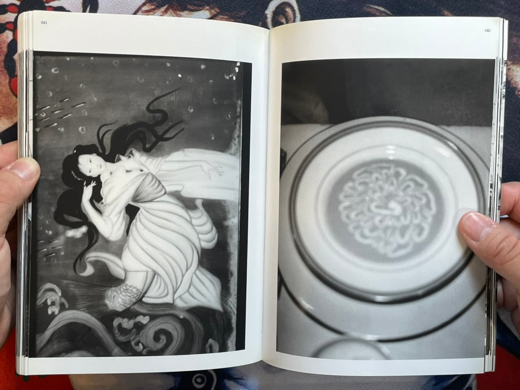 Morphine Doesn't Work in May - Slipcover by Araki Nobuyoshi (2004)