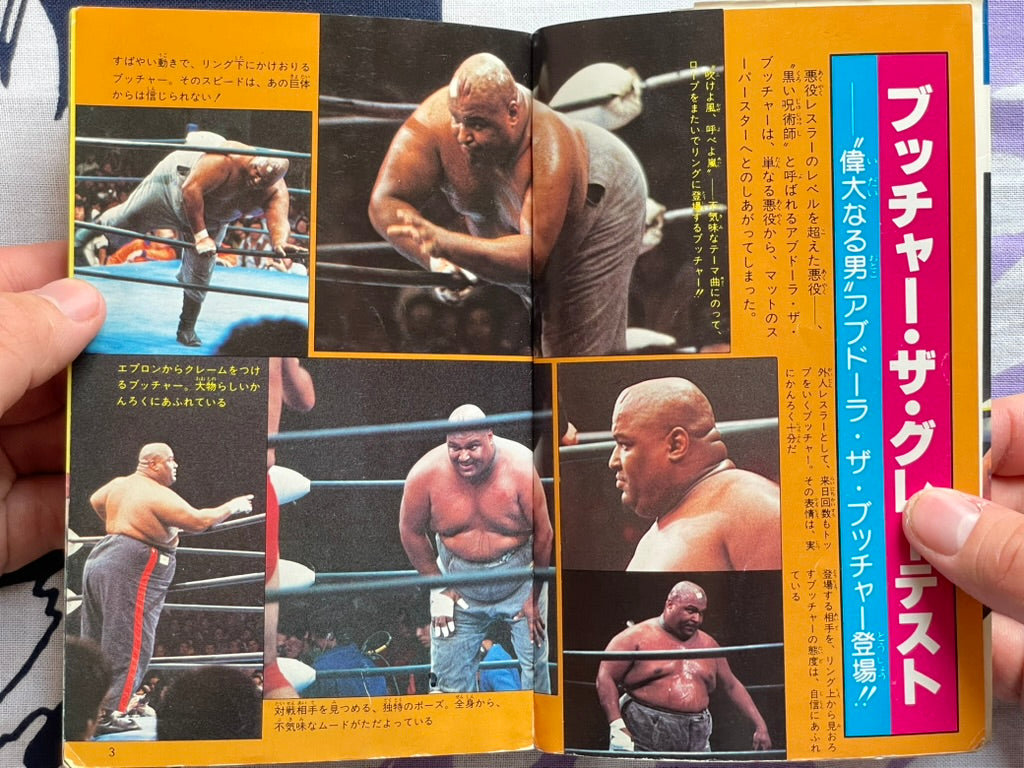 Butcher Heel Wrestler Super Encyclopedia (1981)