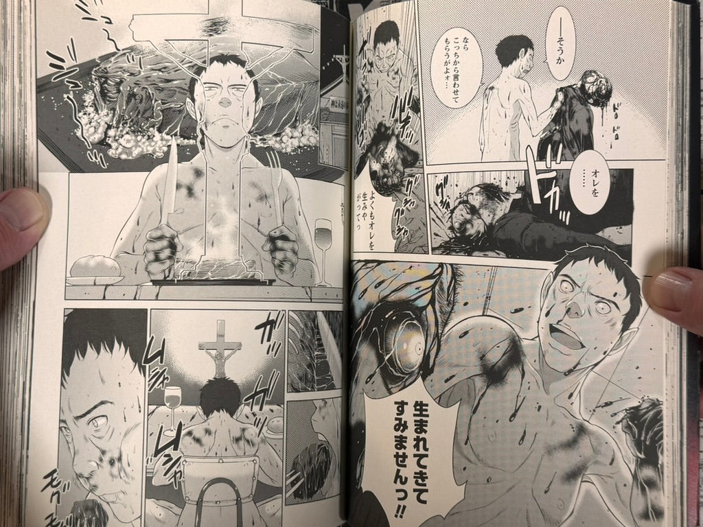 Tropical Fish Guts by Shinichi Hiromoto (2013)-thumbmail-12