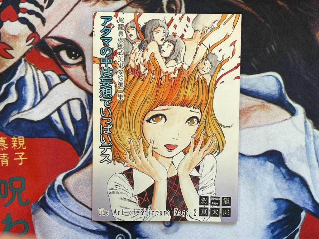 The Art of Shintaro Kago 2: My Head is Full of Delusions (2013)-thumbmail-1