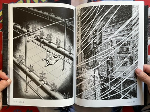 Zoku-Shingo Complete Box by Kazuo Umezz (2025)