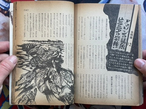 World of Riddle and Wonder by Gakken (1974)