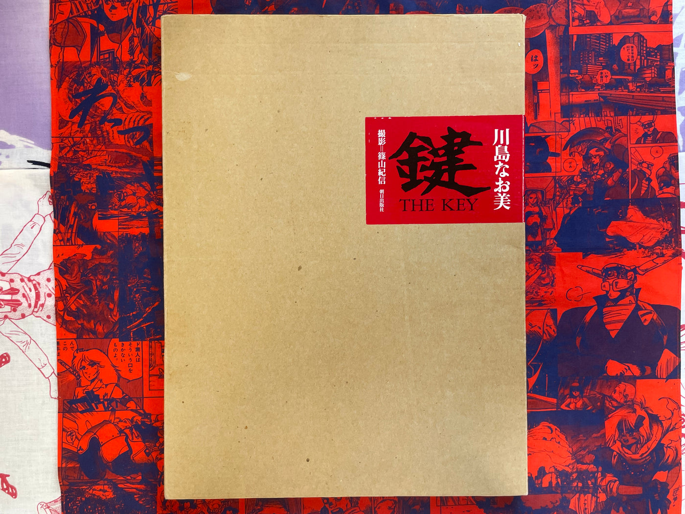 The Key: Kawashima Naomi Photo Book (1997)