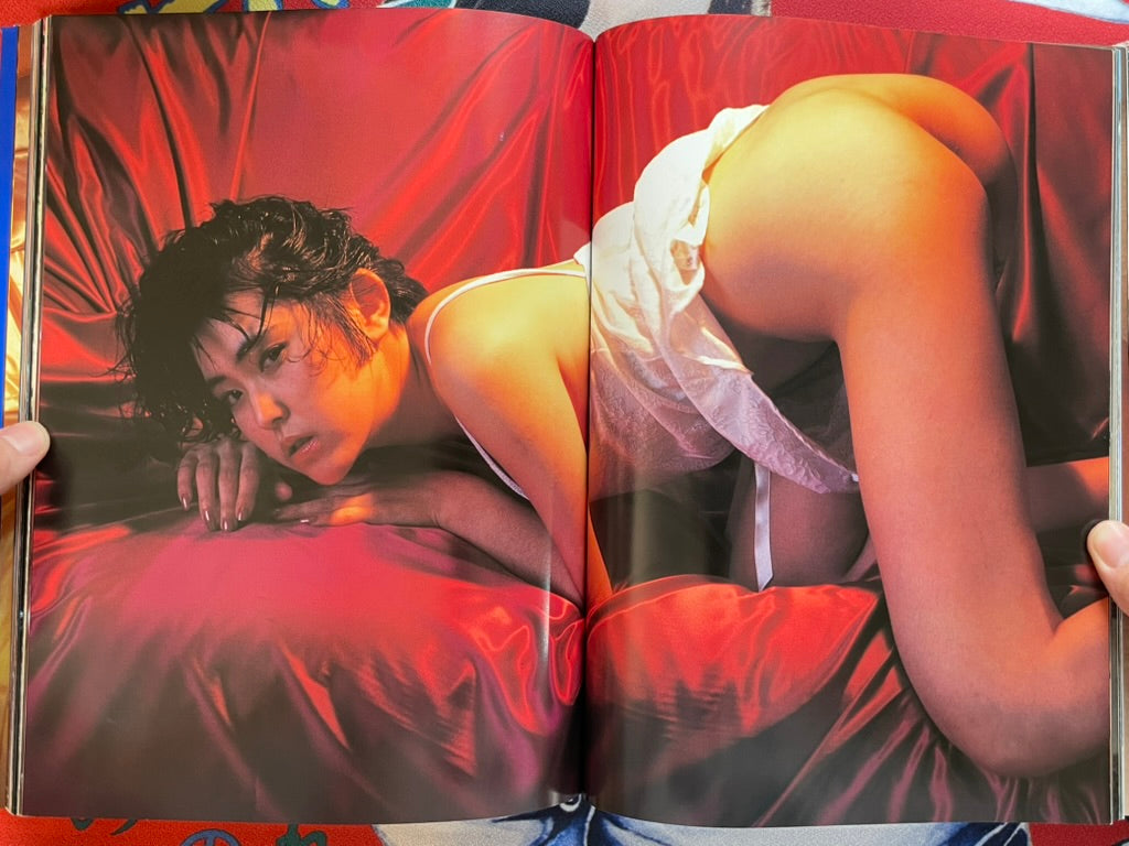 Chromosome by Nogawa Isamu (1993)-thumbmail-11