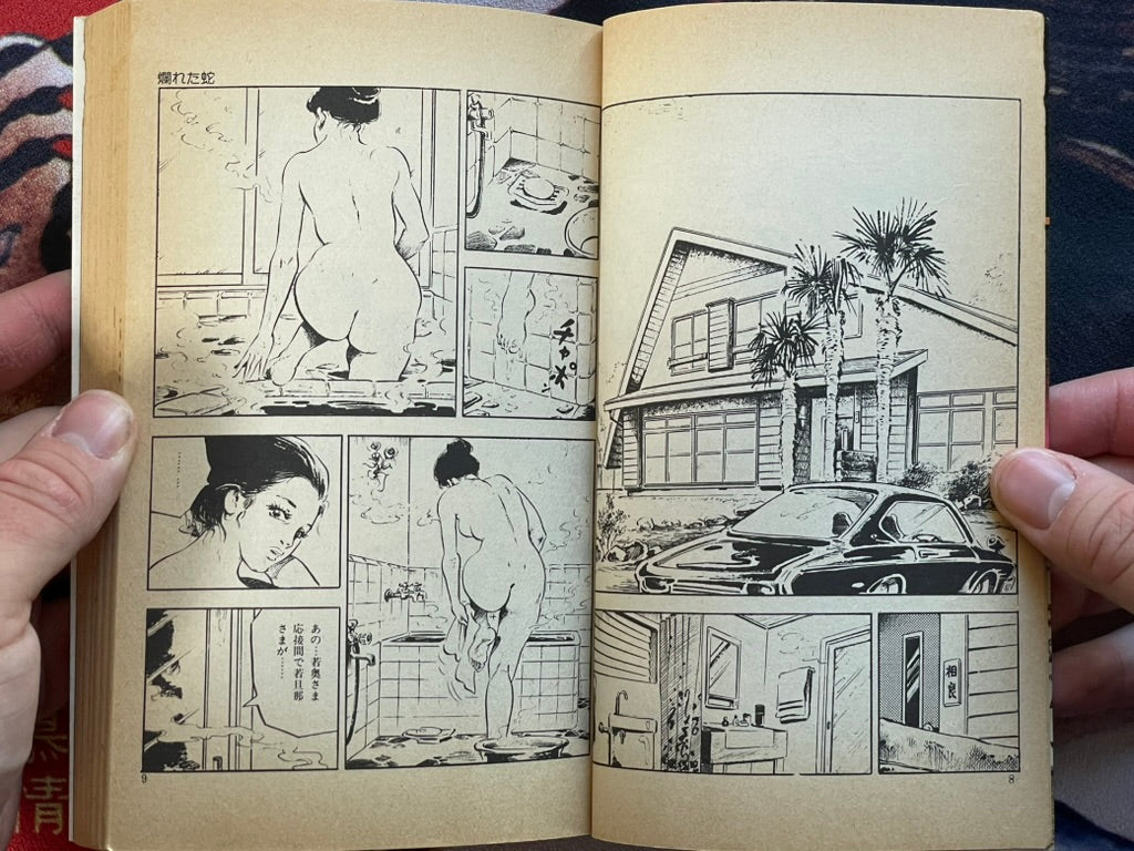 Lustful Flesh Shibari by Kasama Shiro (1980)-thumbmail-3