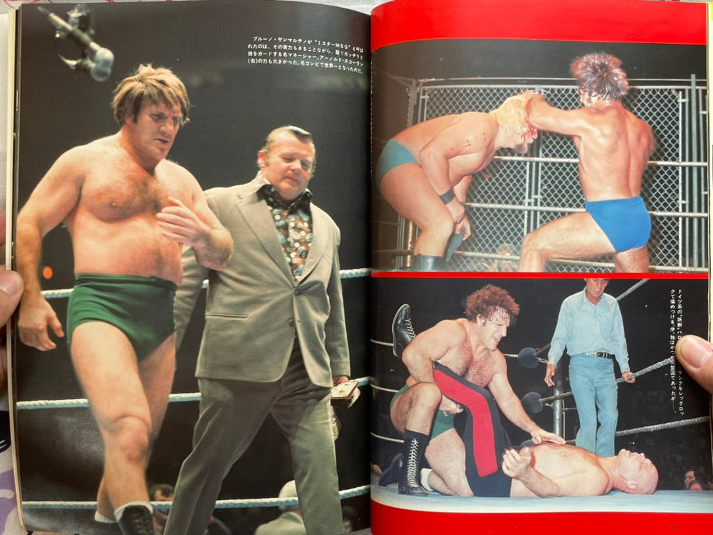 Fierce Battle MSG: Wrestling in USA Part 2 (1981)