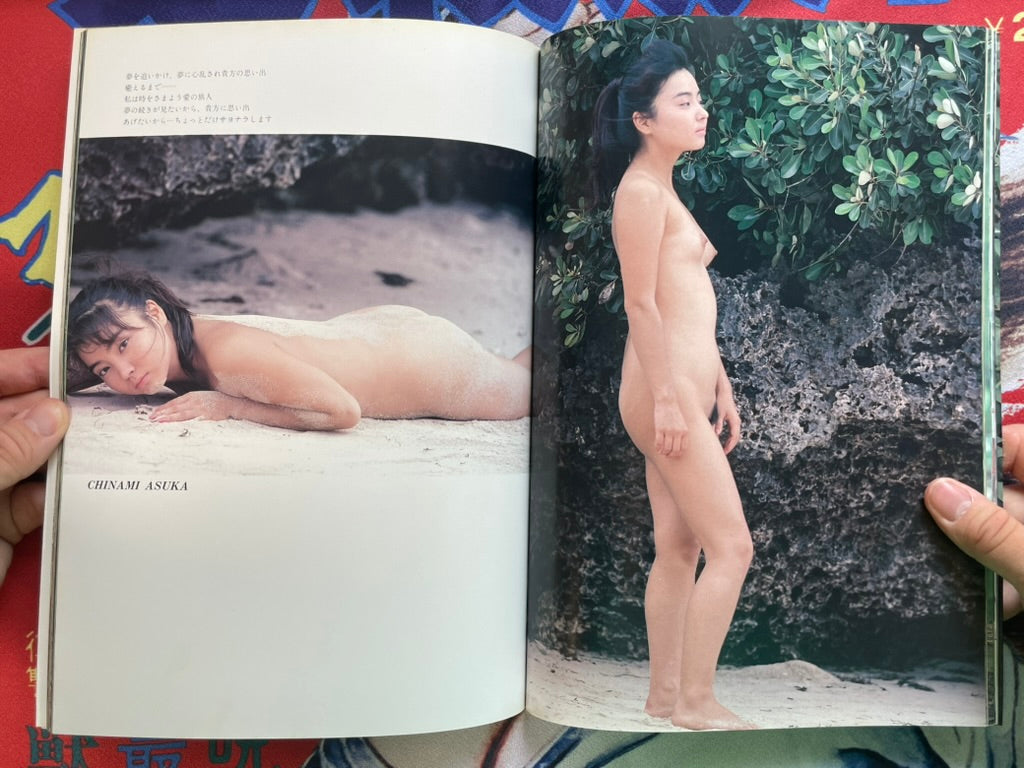 Asuka Chinami Photo Book (1990)