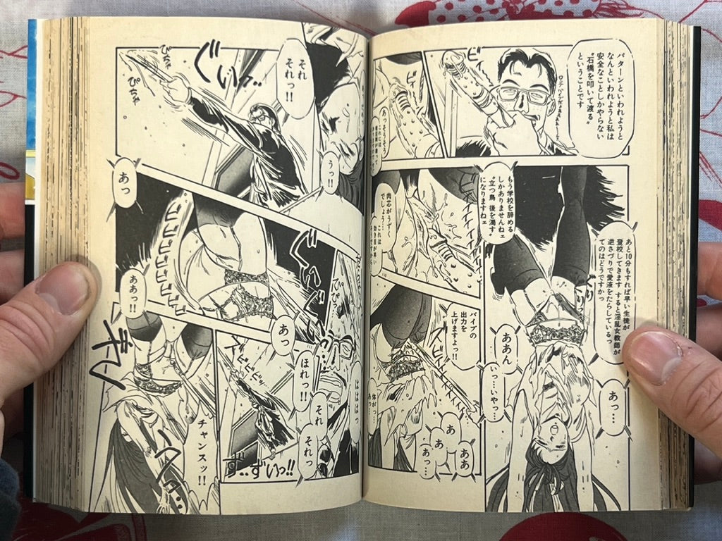 Teacher Otome's Private Instruction - bunko size by Denkosekka Go (1994)