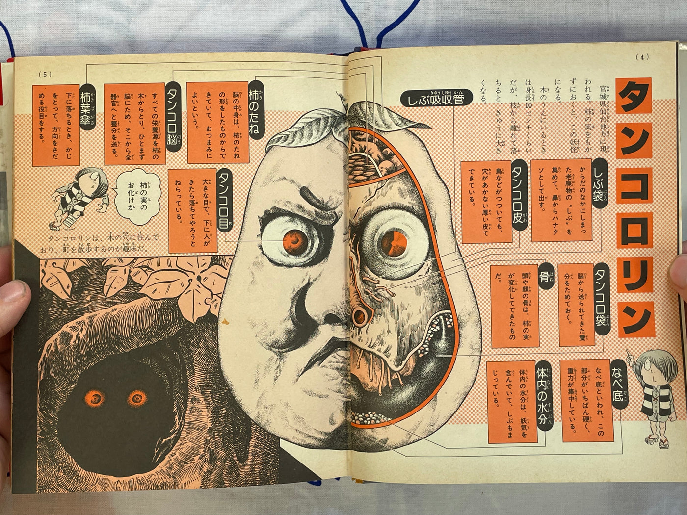 Yokai Pictorial - Hardcover by Mizuki Shigeru (1983) NEEDS DESCRIPTION